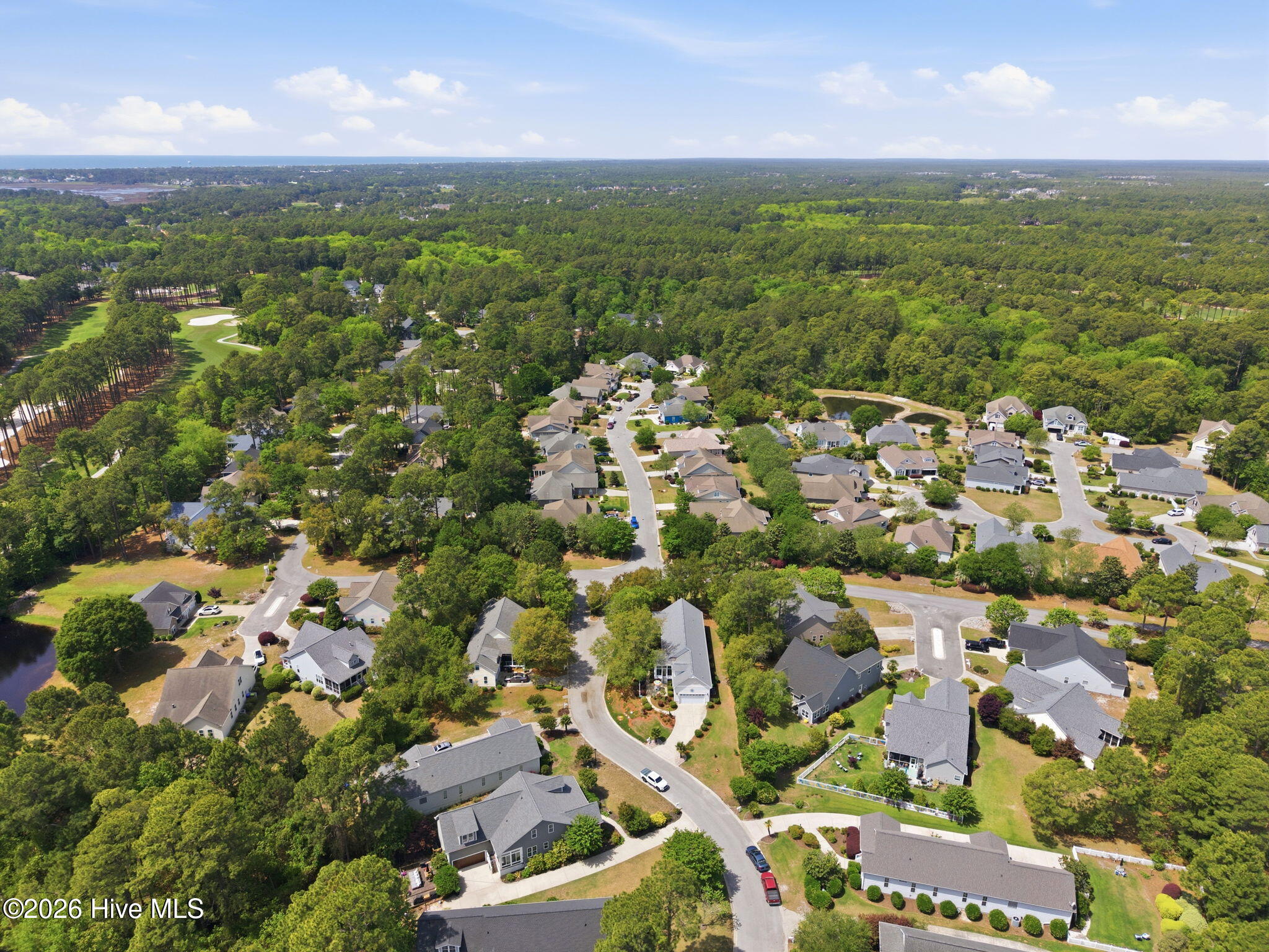 100569459 | Photo 50