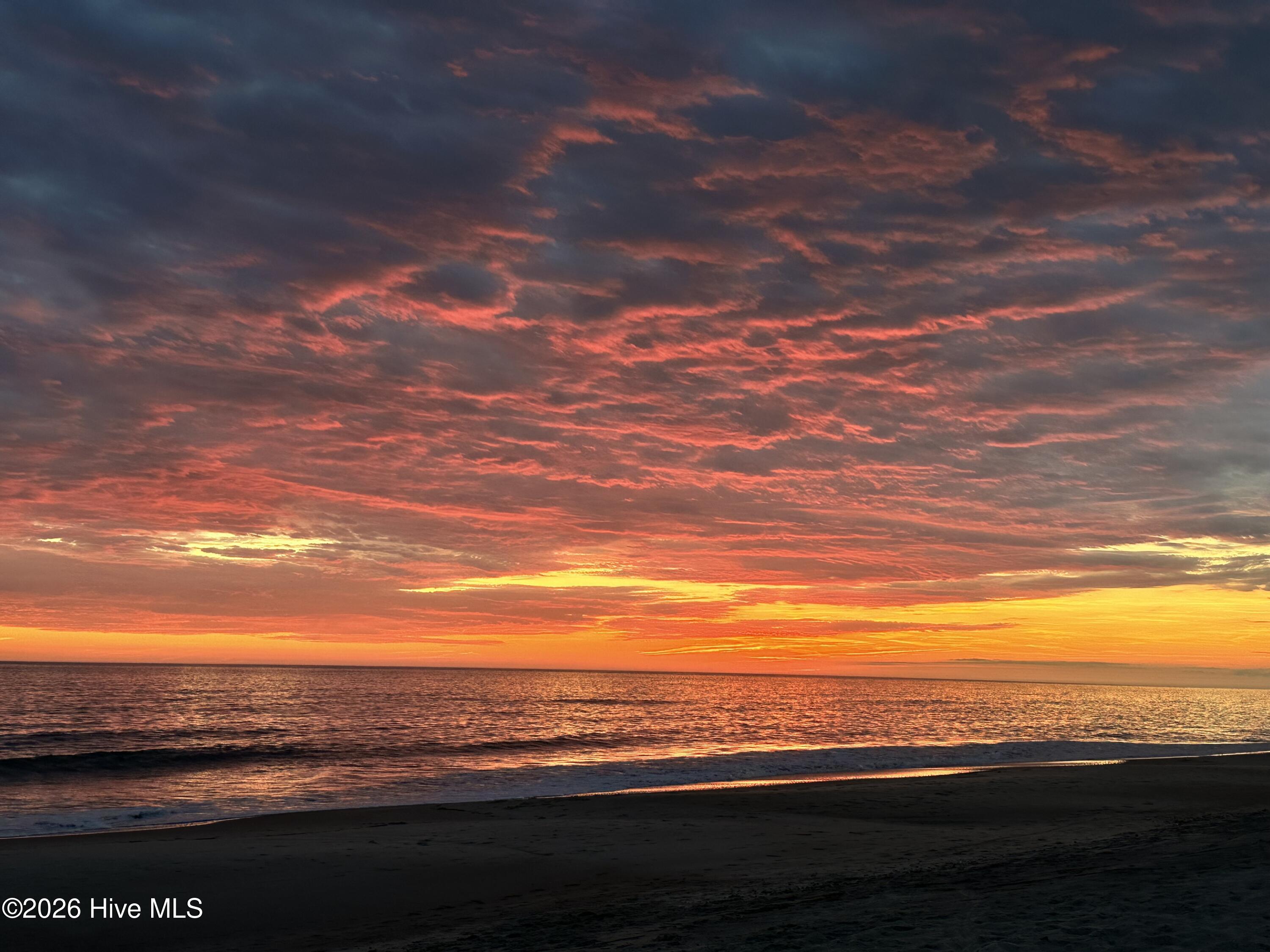 100562646 | Photo 46