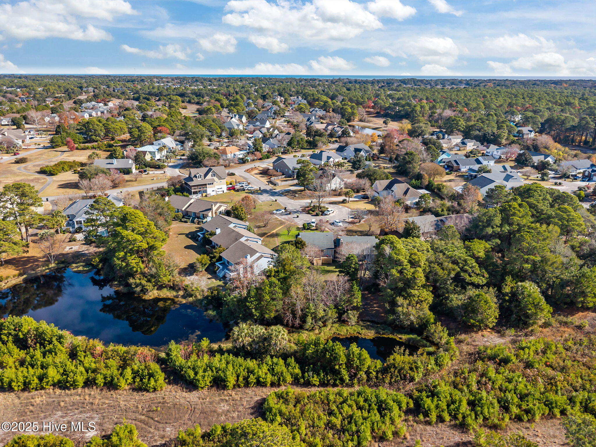 100545533 | Photo 44