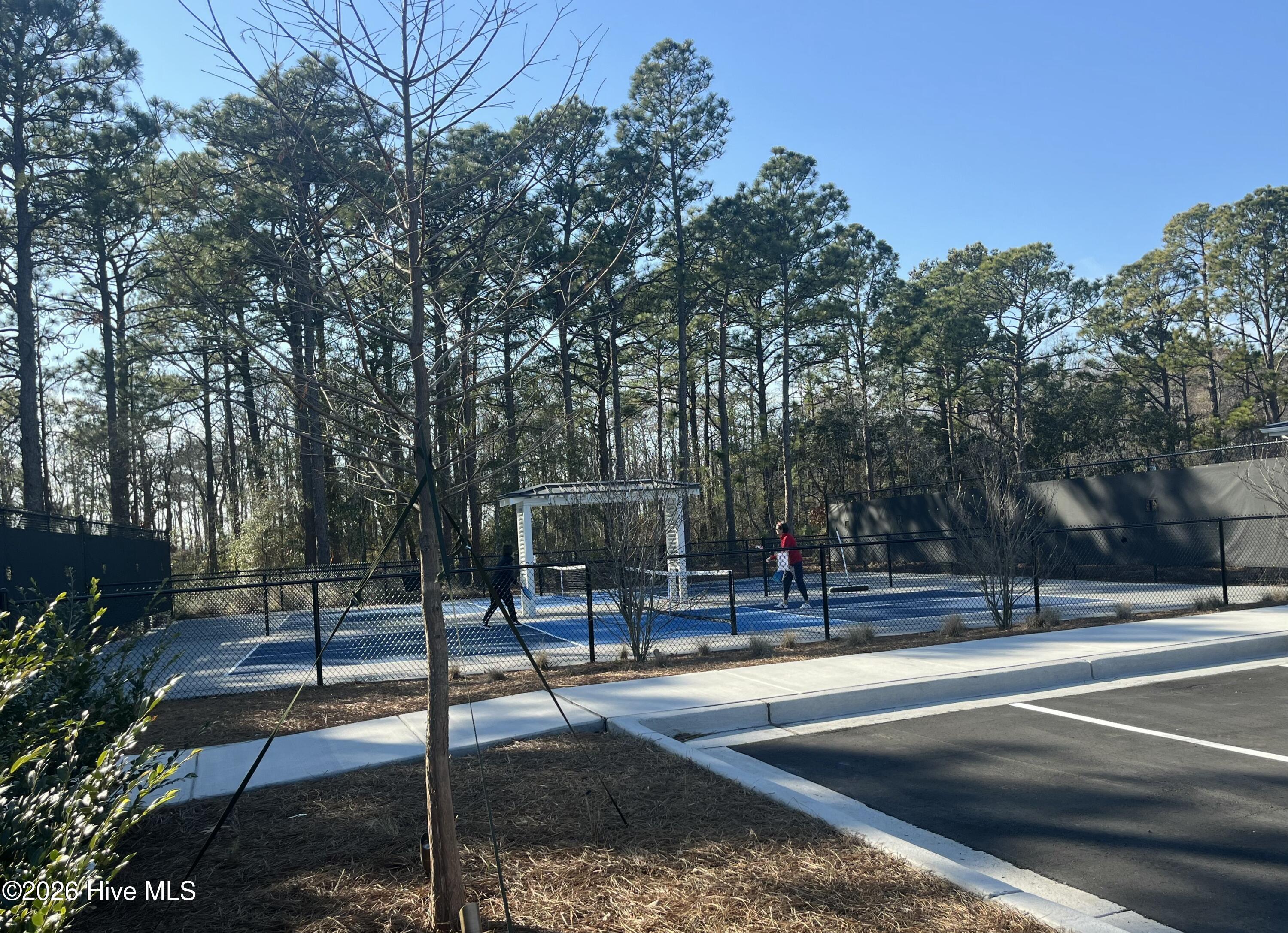 100554120 | Photo 75