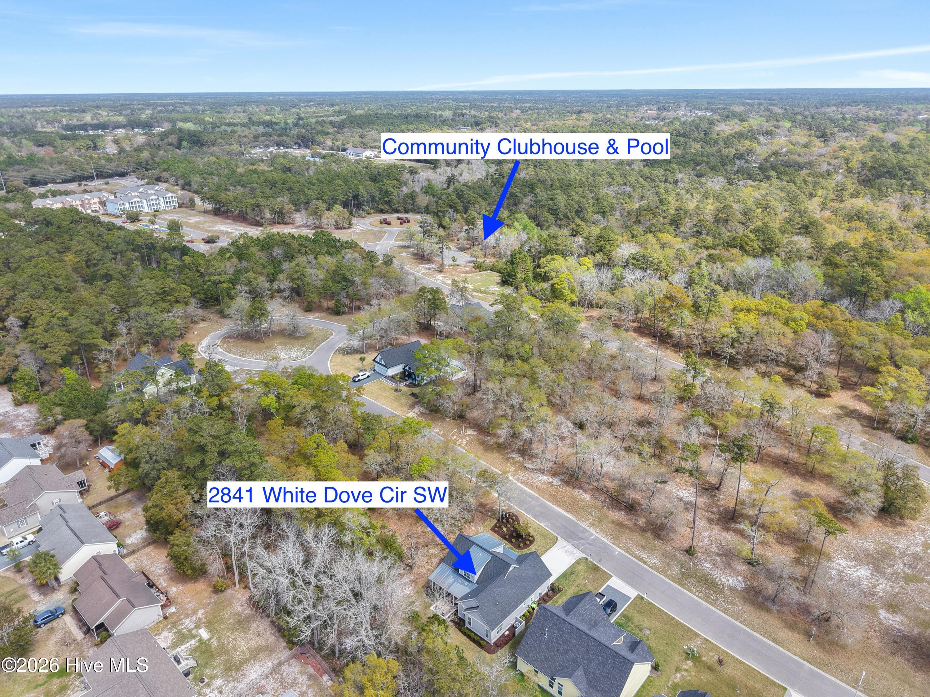 100565017 | Photo 62