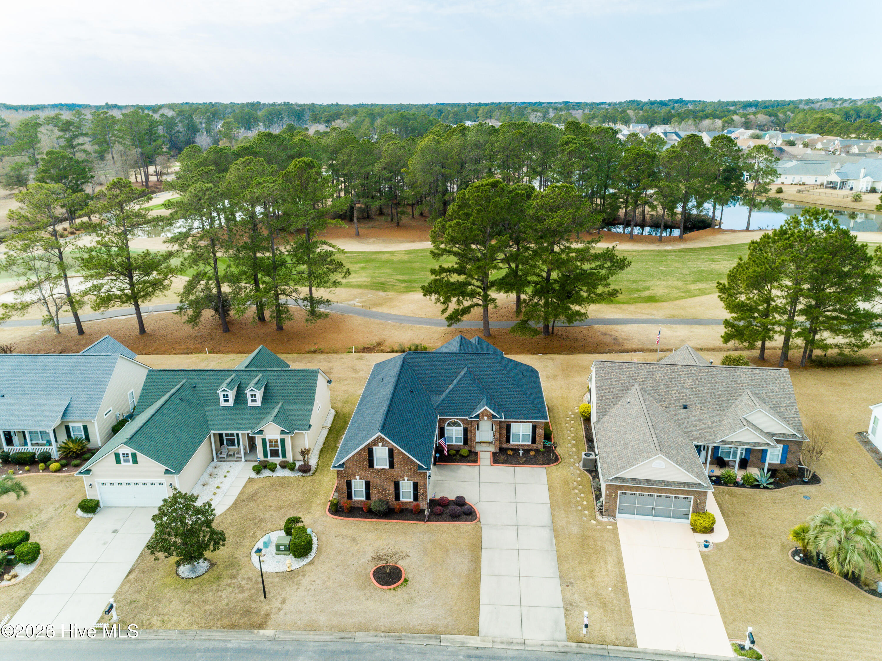 100554732 | Photo 38