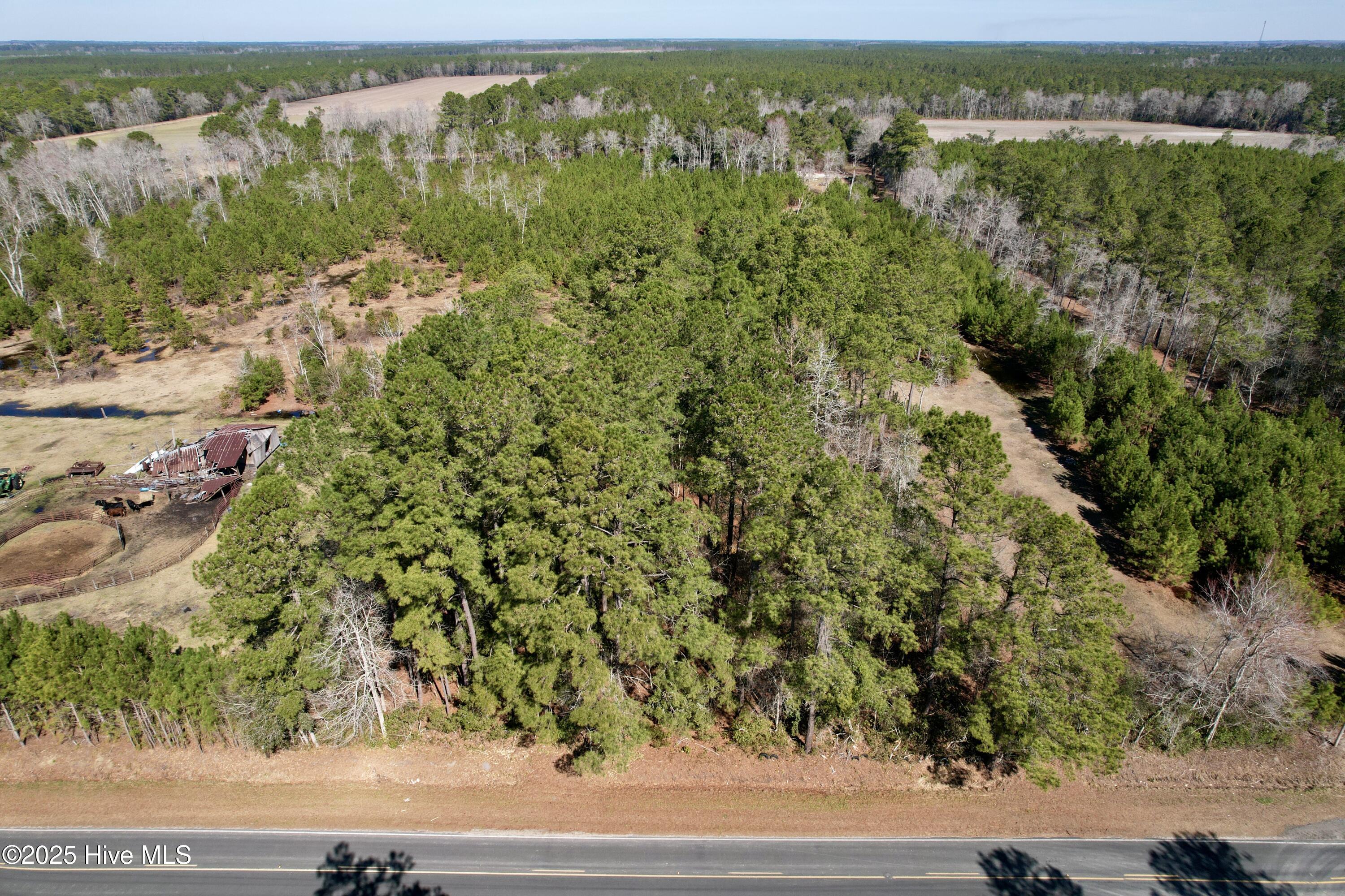 100490813 | Photo 13