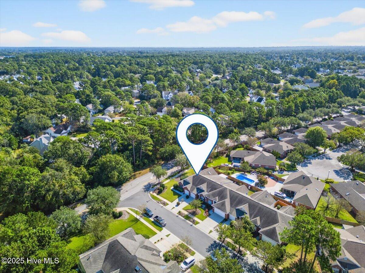 100535571 | Photo 19