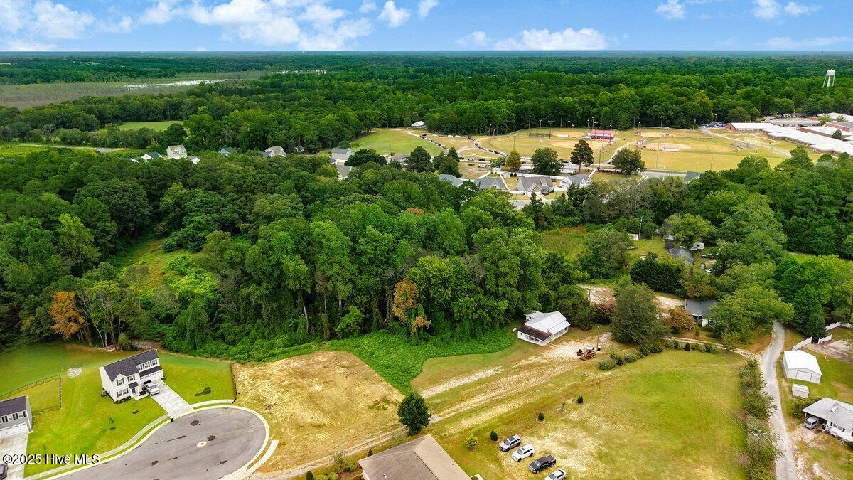 Homes for sale in Four Oaks, NC | 269 S Coral Bells Way, Four Oaks, NC 27524 | MLS# 100532785