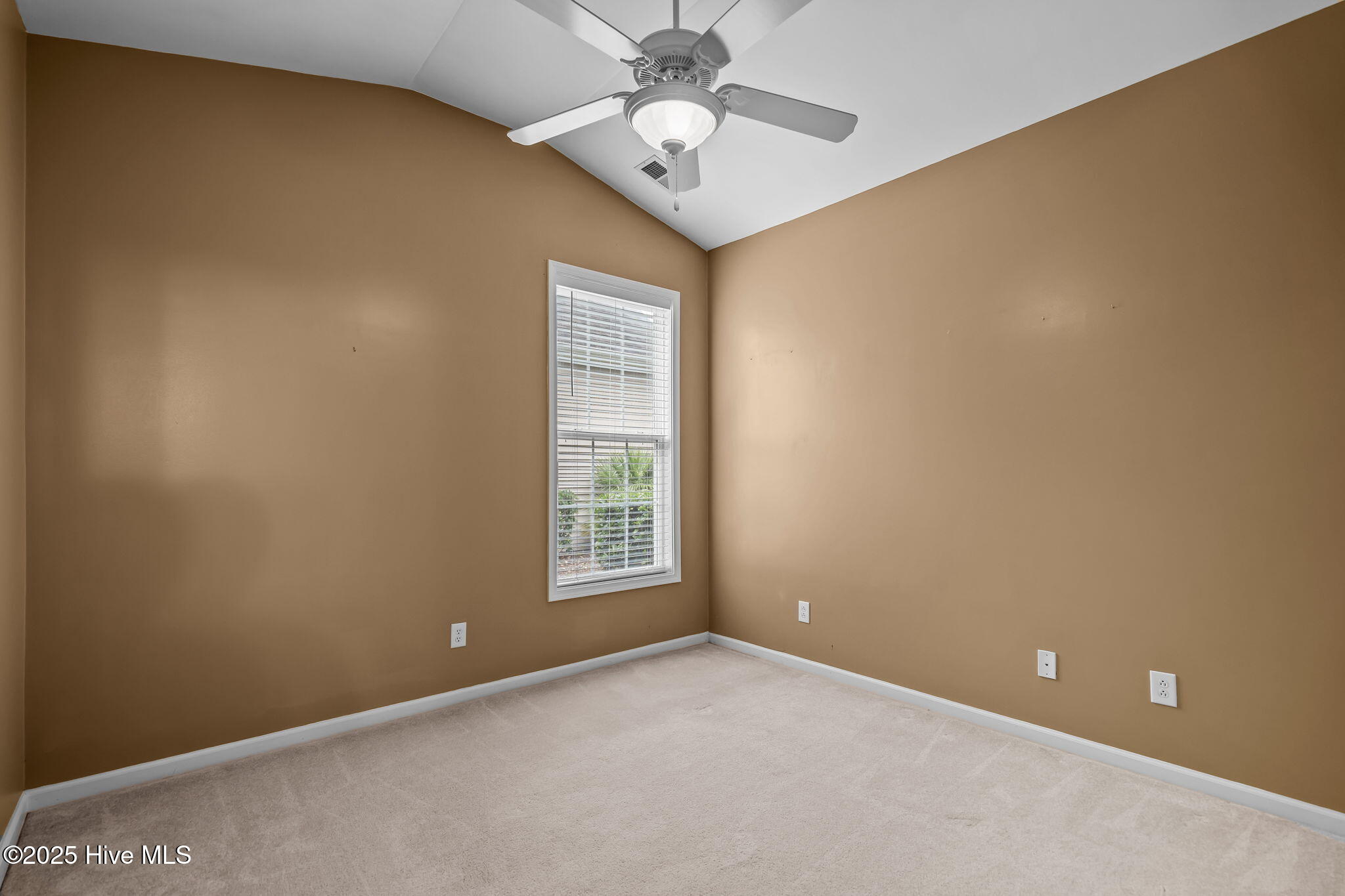 100538741 | Photo 35