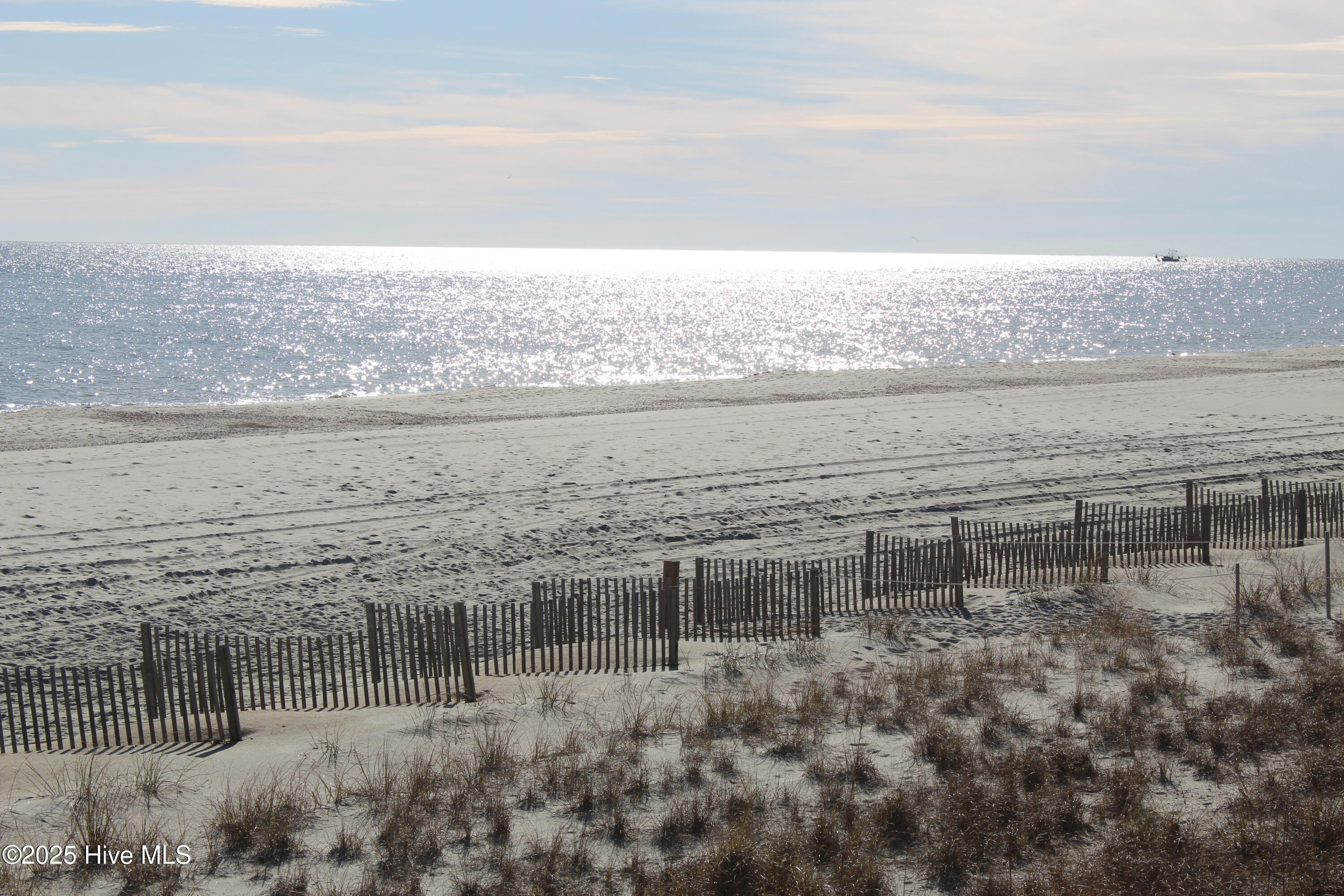 100488481 | Photo 19