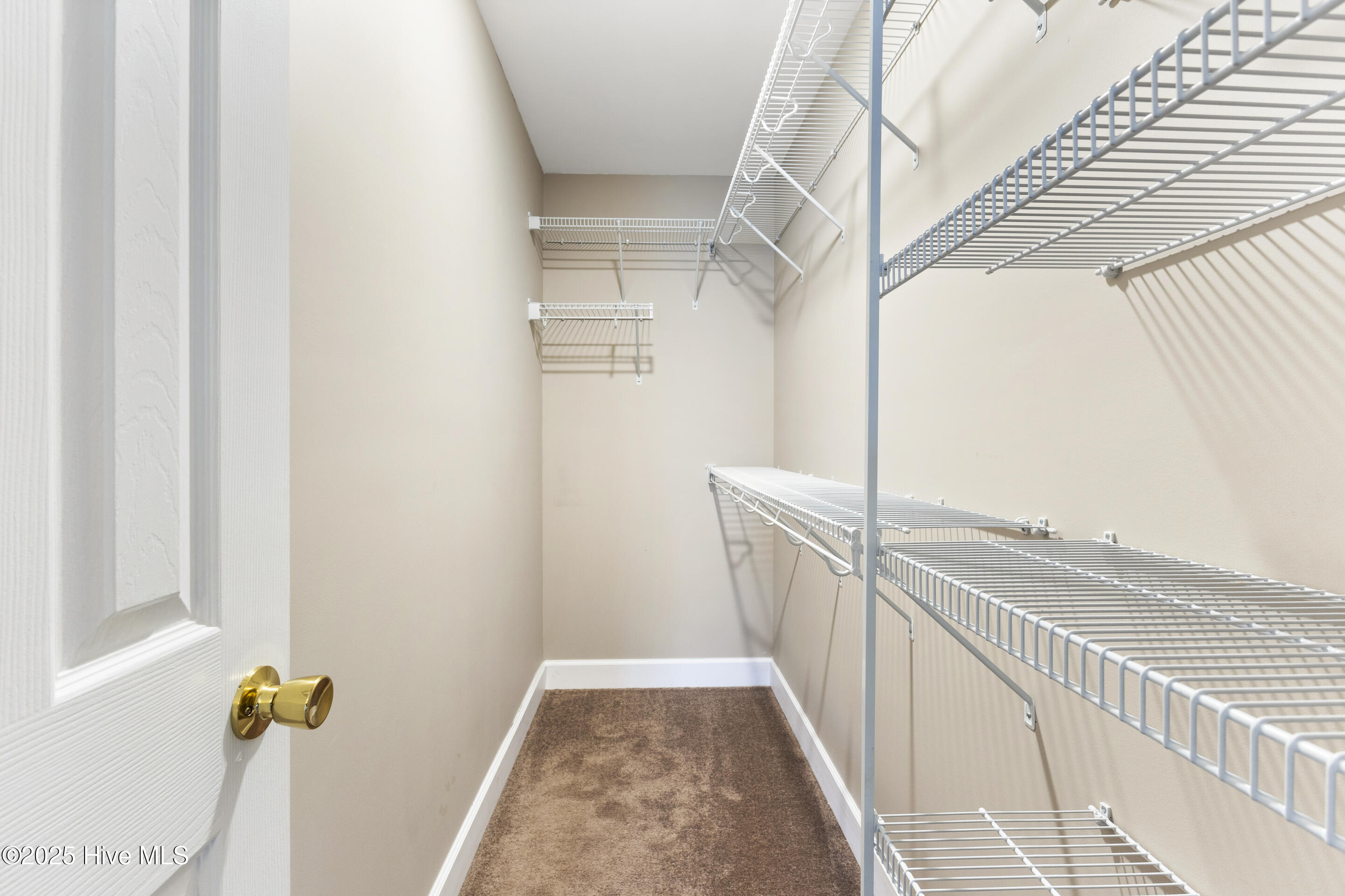 100484039 | Photo 20