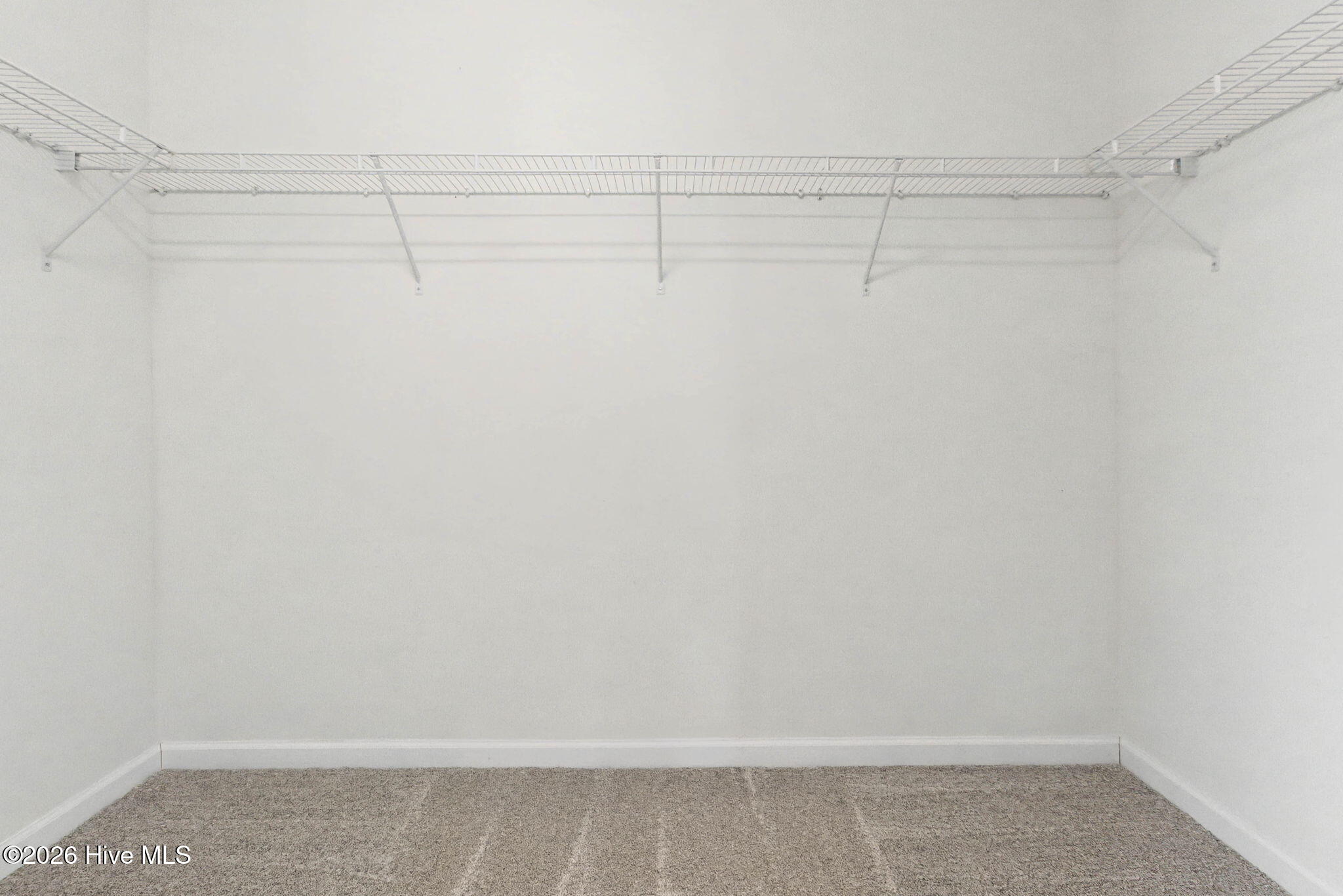 100547779 | Photo 33