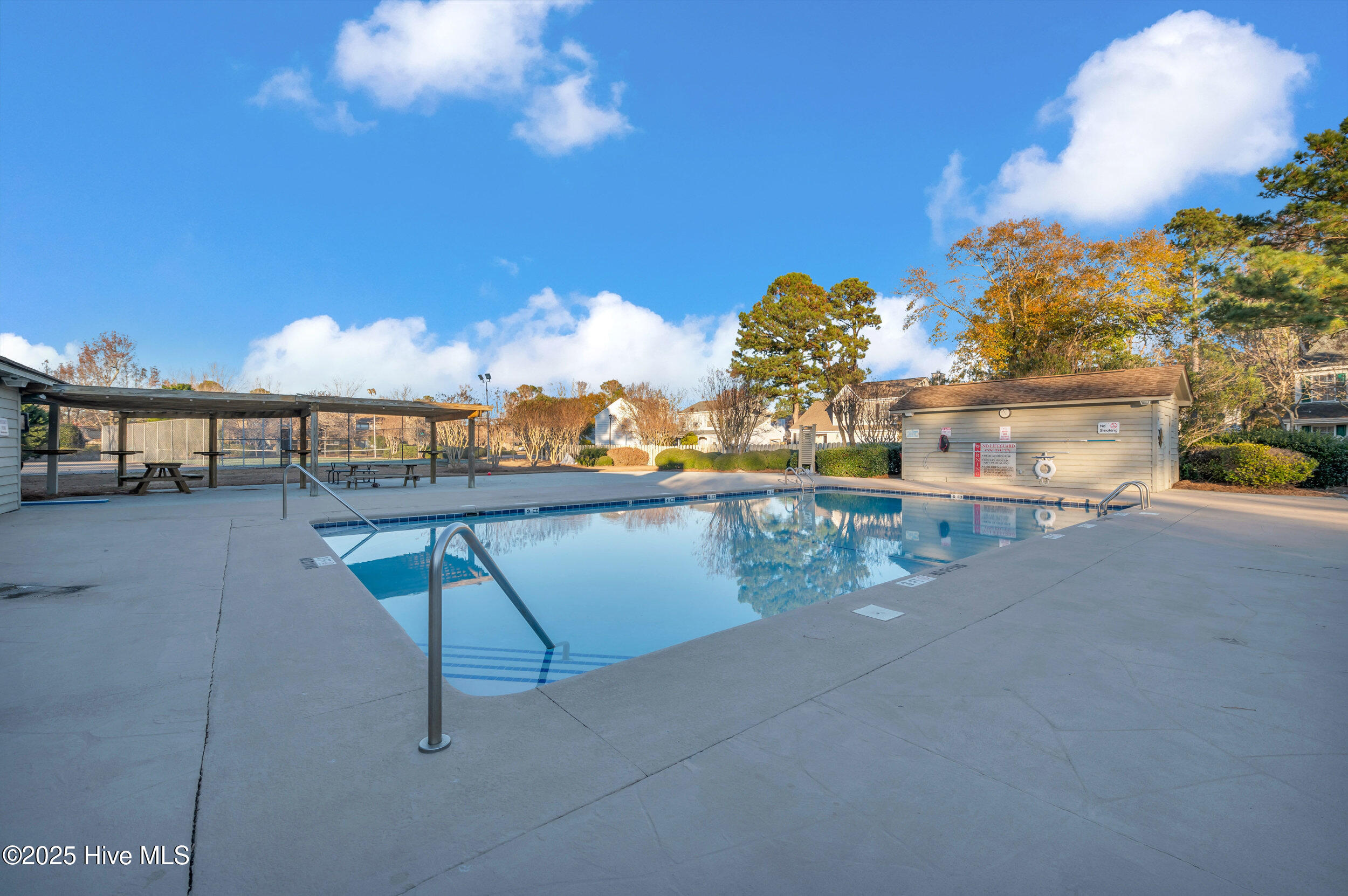 100546110 | Photo 32