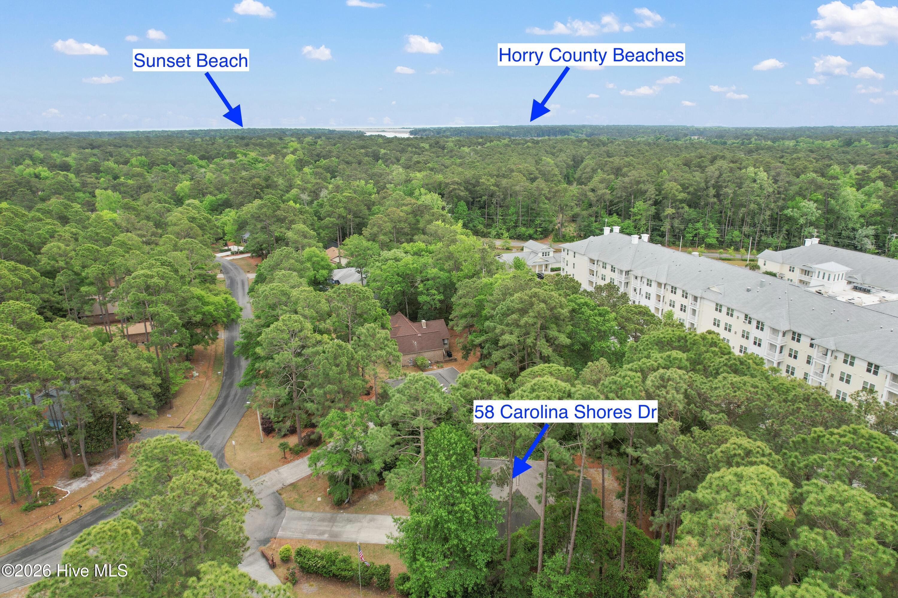 100570075 | Photo 39