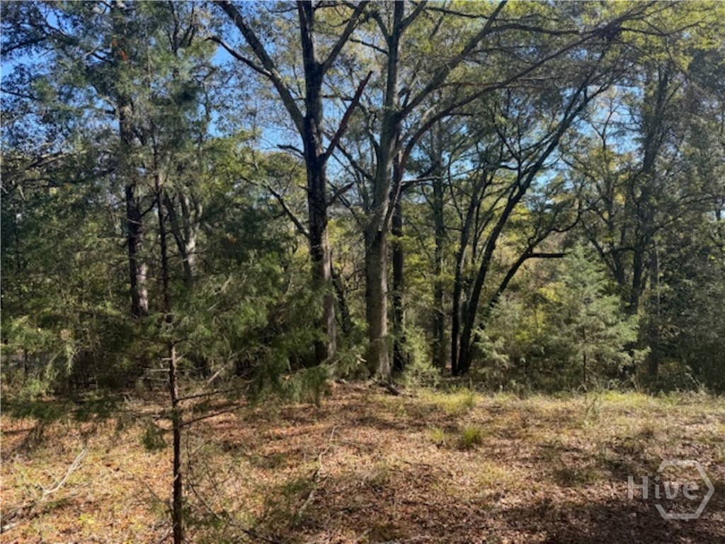 1240 Summit Drive, Watkinsville, GA, 30677