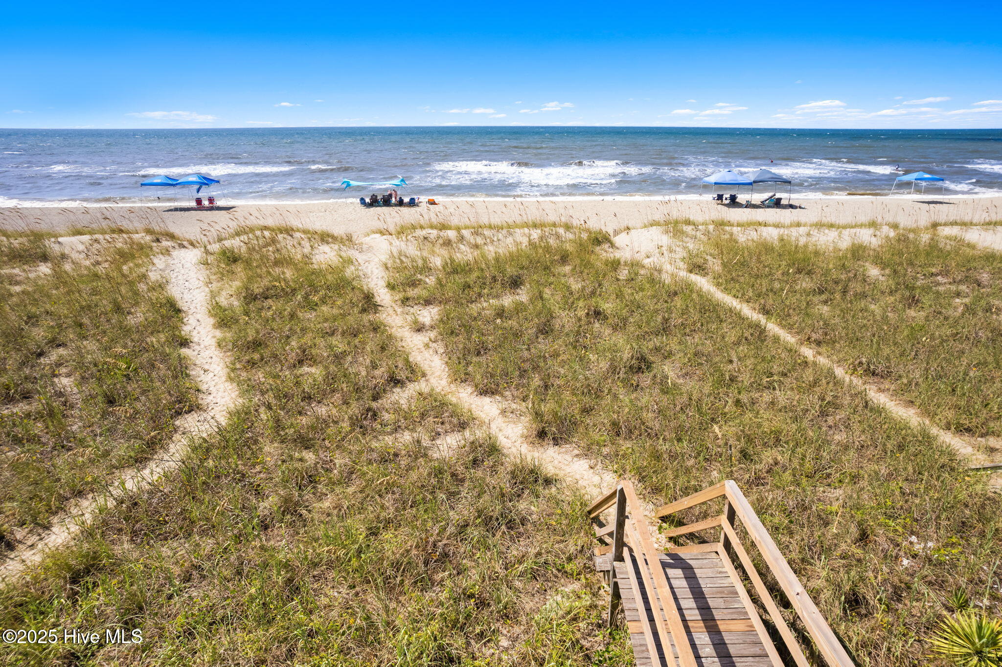 100563036 | Photo 15