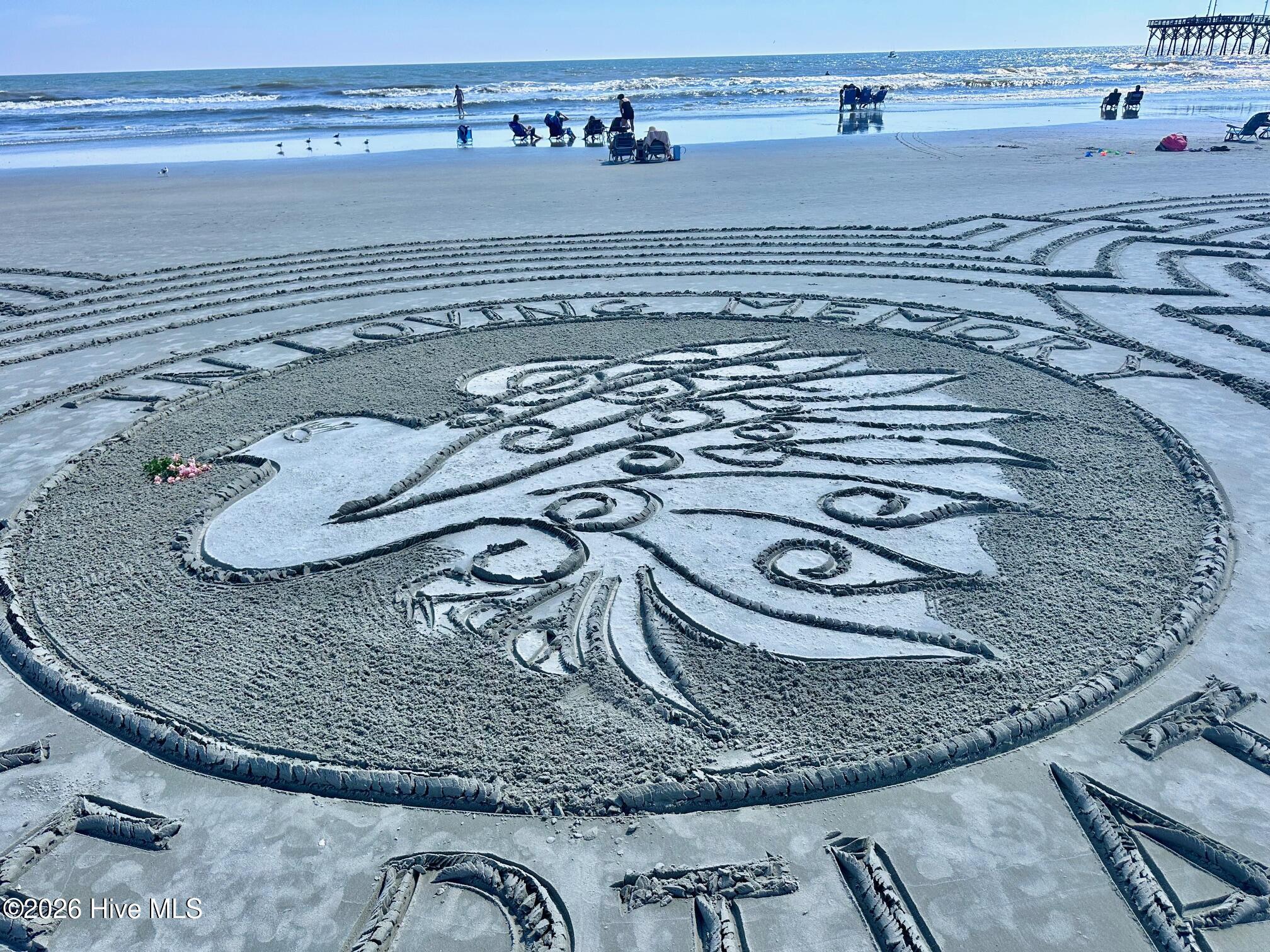 100557384 | Photo 25