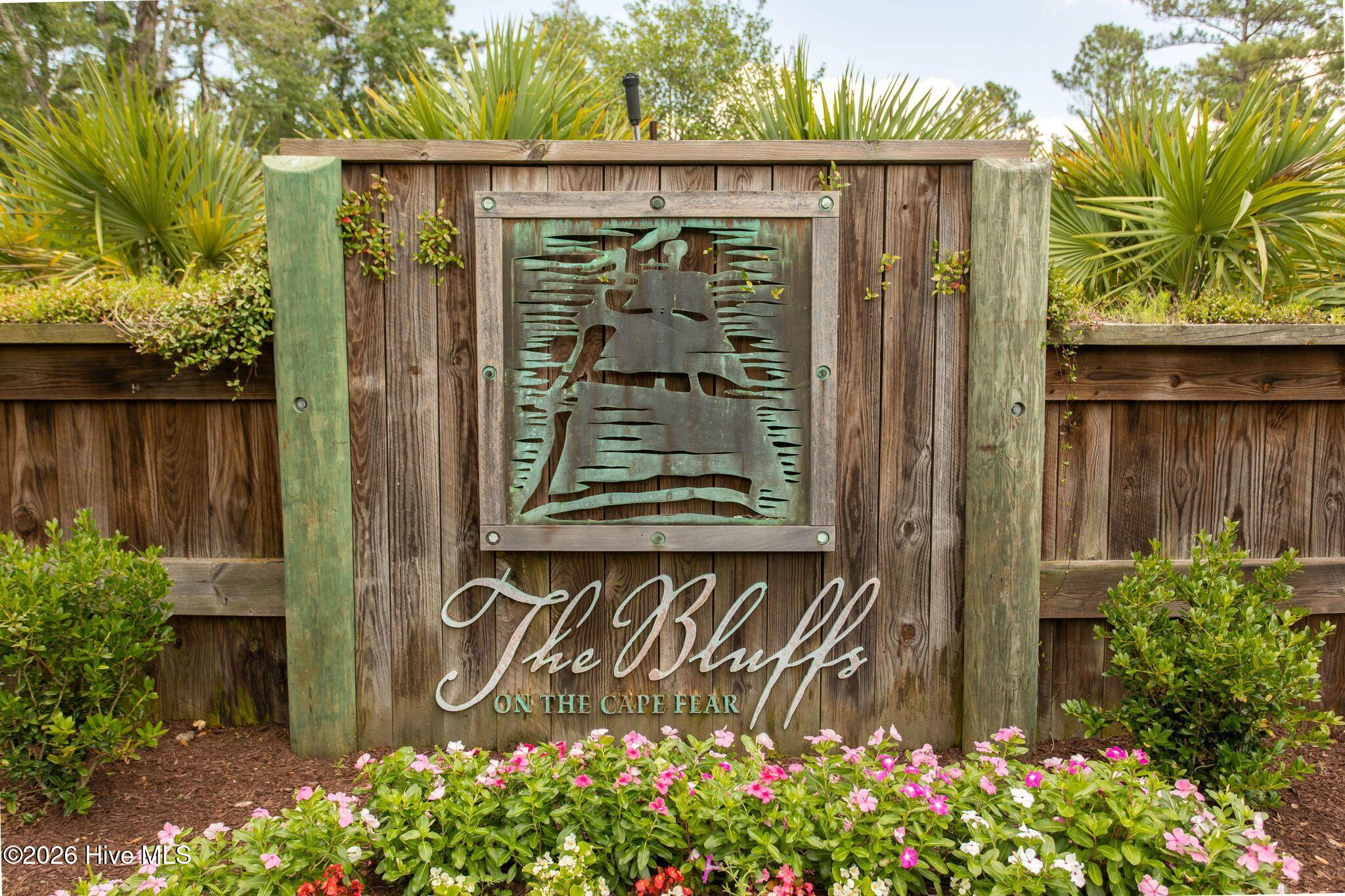 100569004 | Photo 96