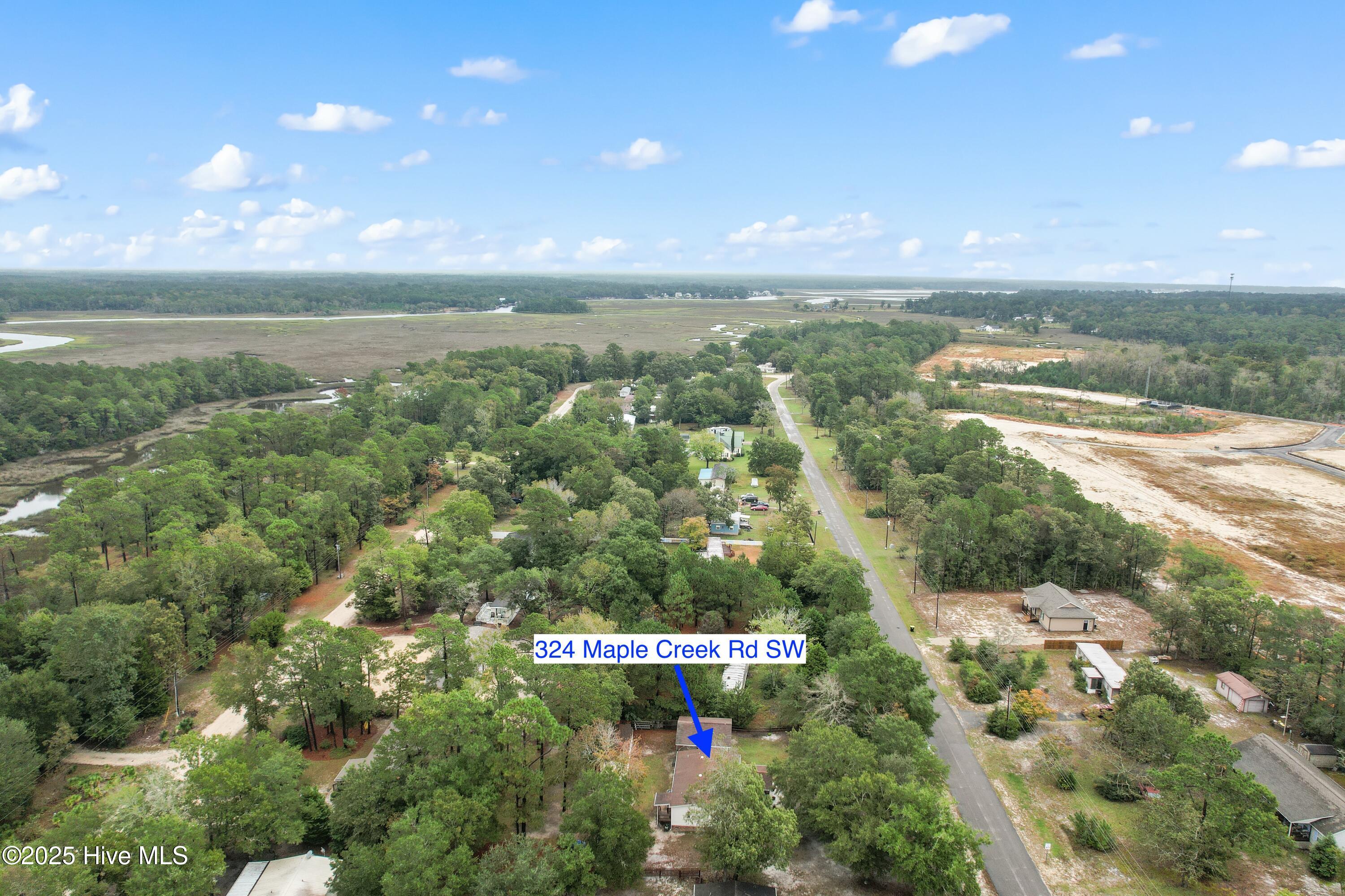 100570016 | Photo 12