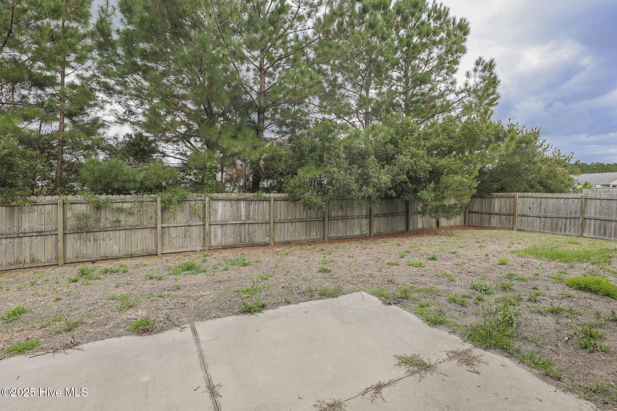 100536070 | Photo 42