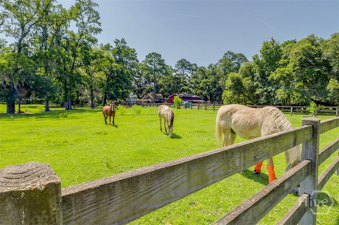 130 Schley Avenue, Savannah, GA 31419 Listing Photo  52