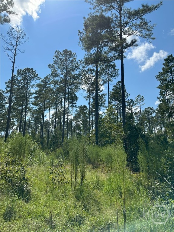 Property at 2470 Fears Road