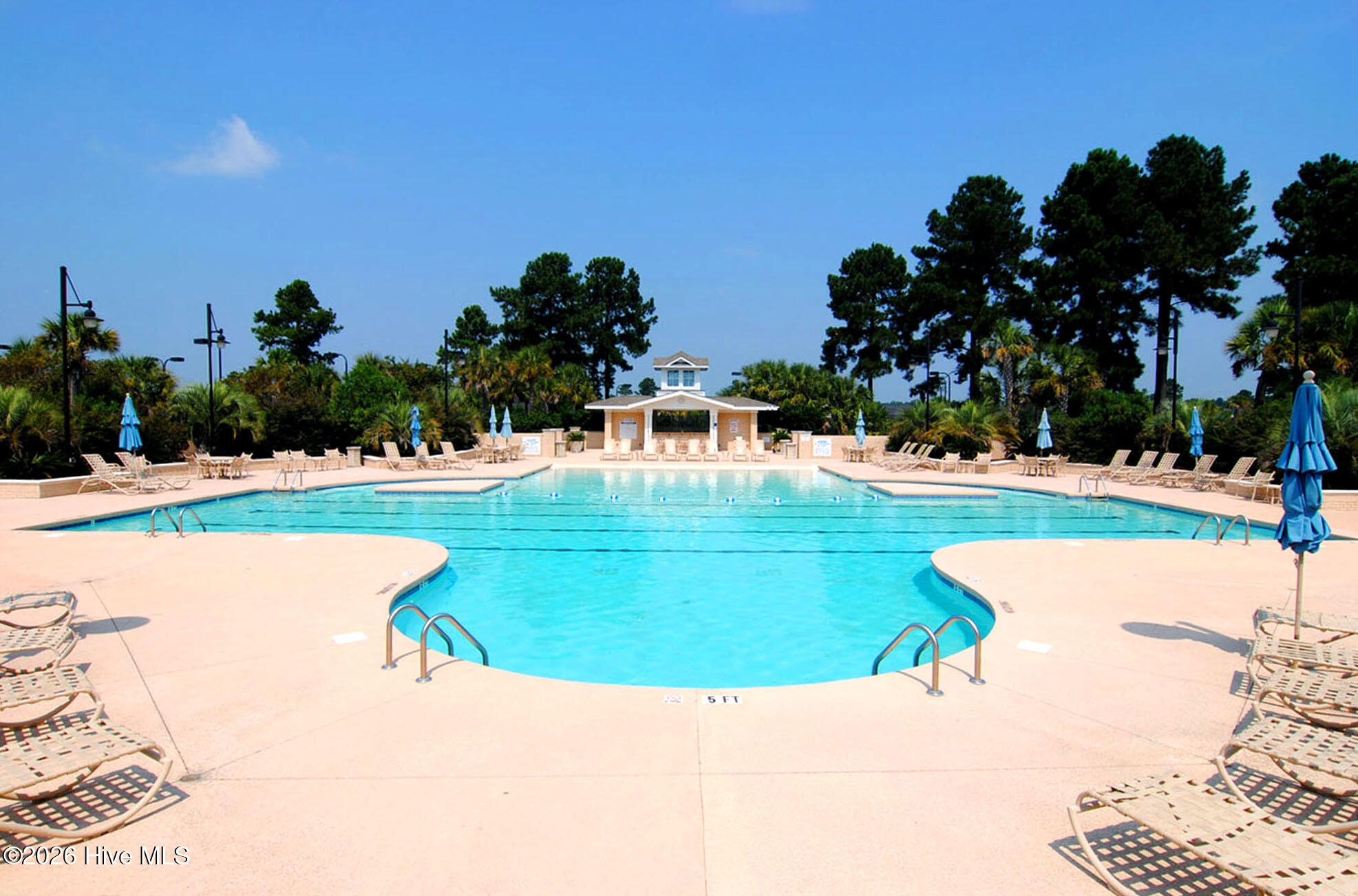 100565729 | Photo 66