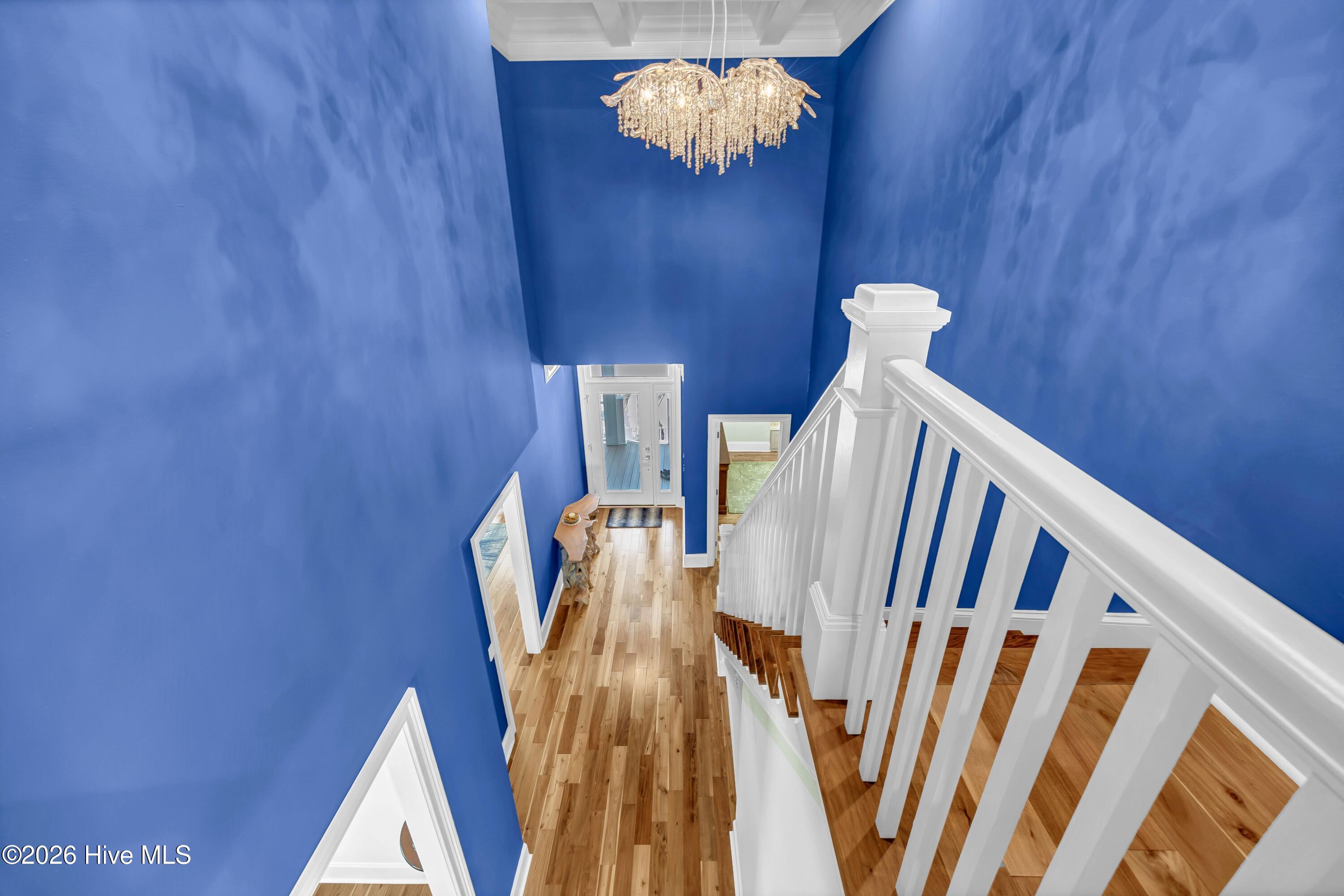 100569369 | Photo 43