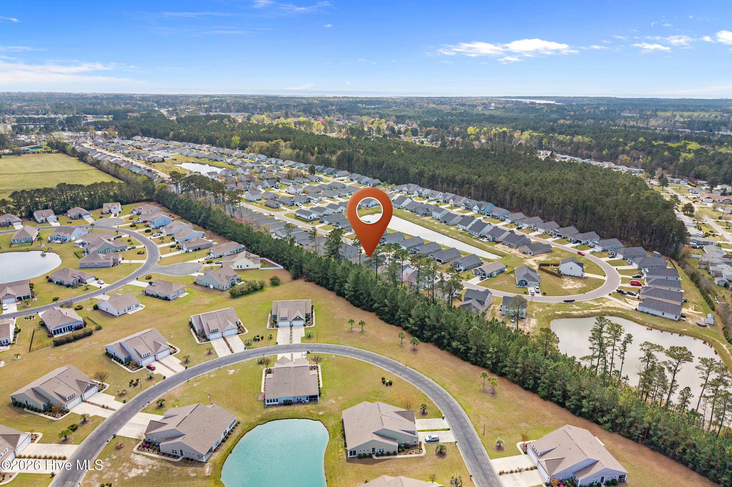 100563374 | Photo 38