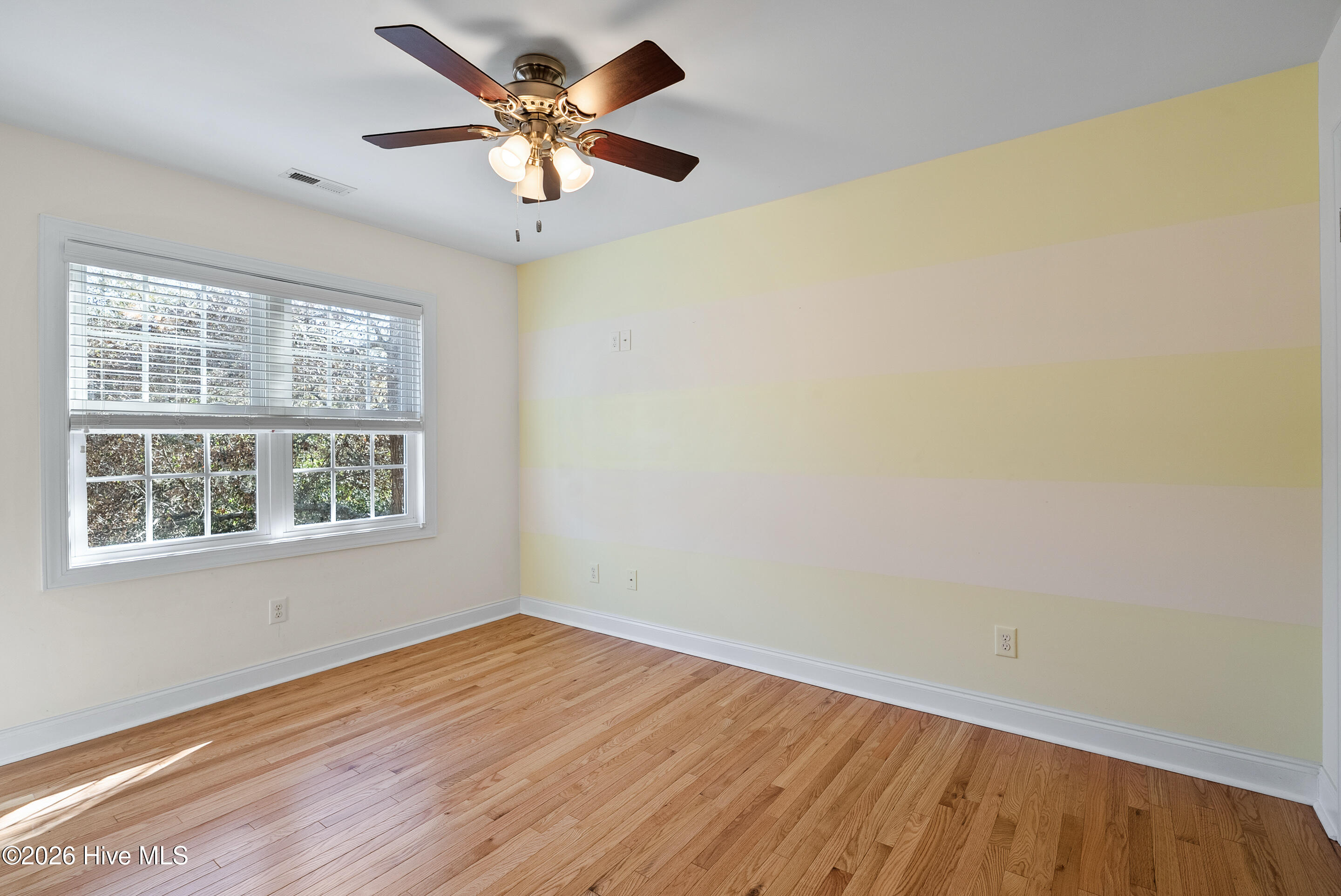 100563119 | Photo 34