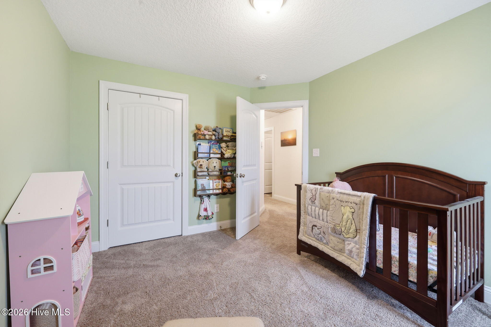 708 Puppy Drum Lane,Maysville