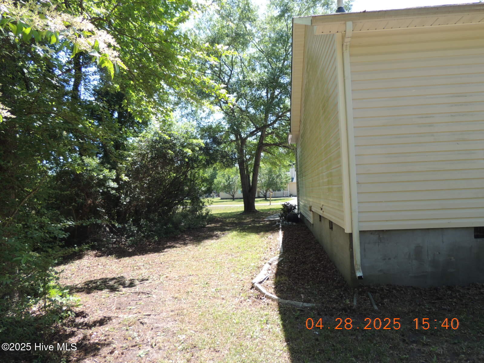 100565687 | Photo 26