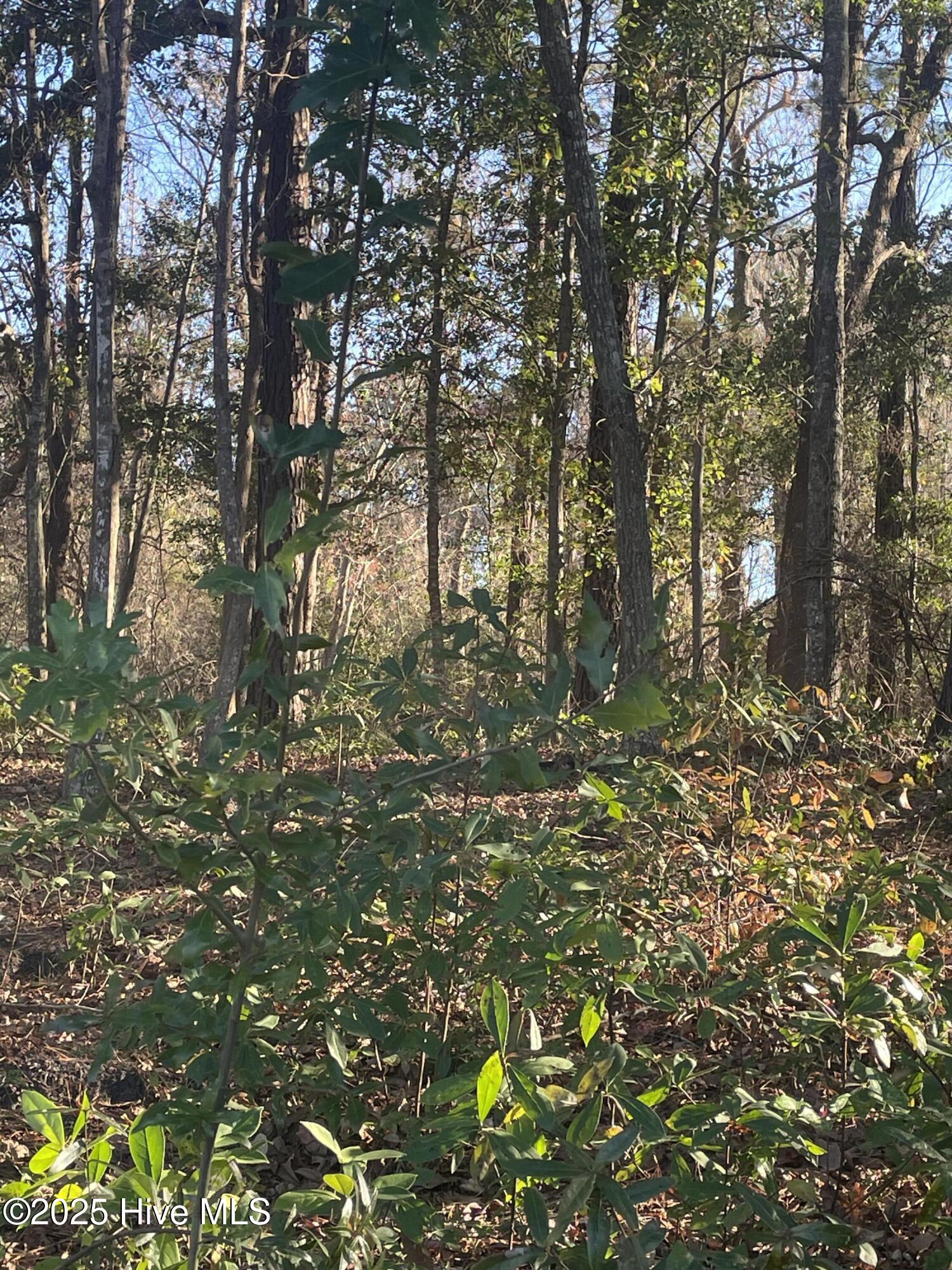 100546046 | Photo 12