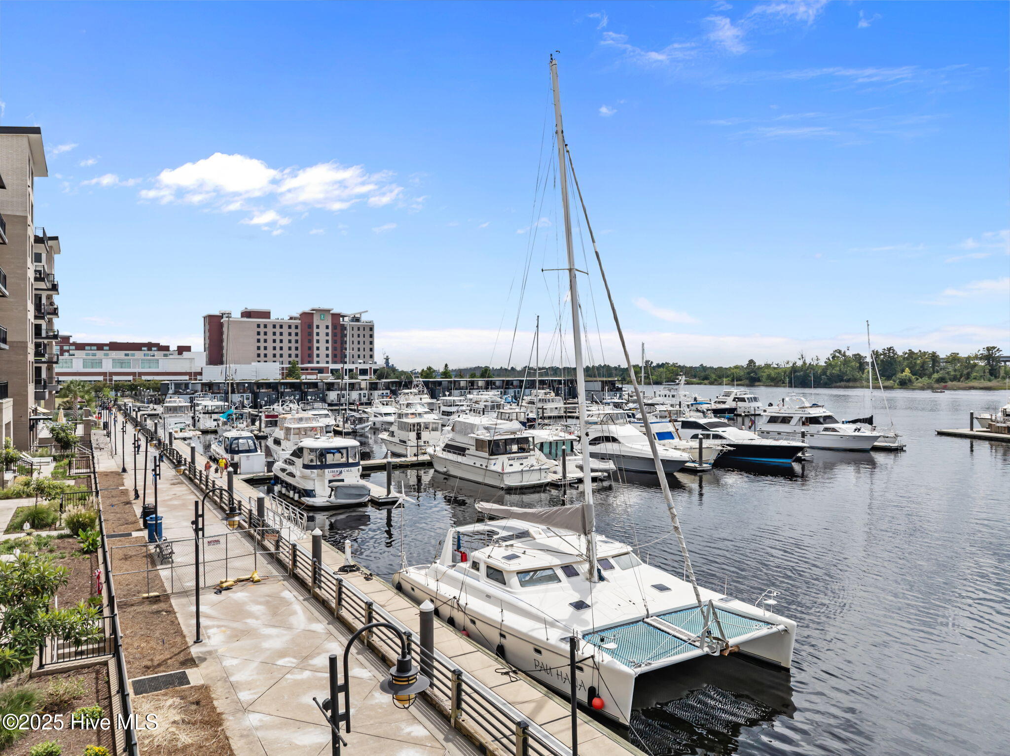 100528560 | Photo 18