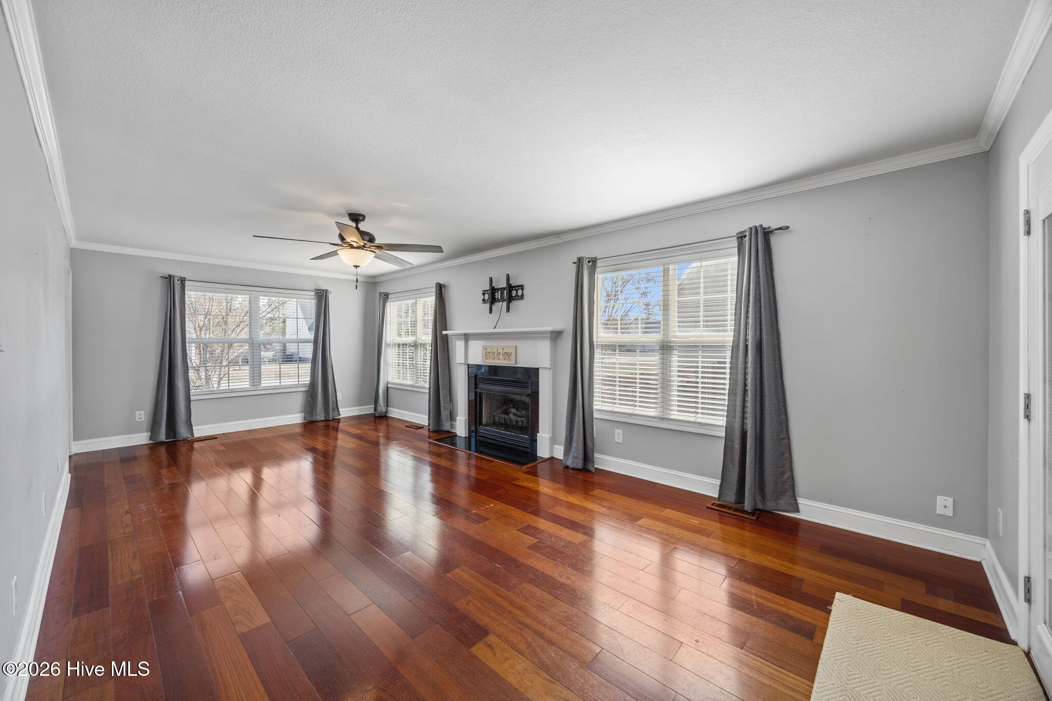 100558260 | Photo 19