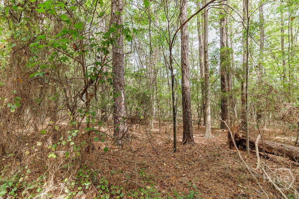 Homes for sale in Danielsville, GA | 0 Irvin Kirk Rd, Danielsville, GA 30633 | MLS# CL340337