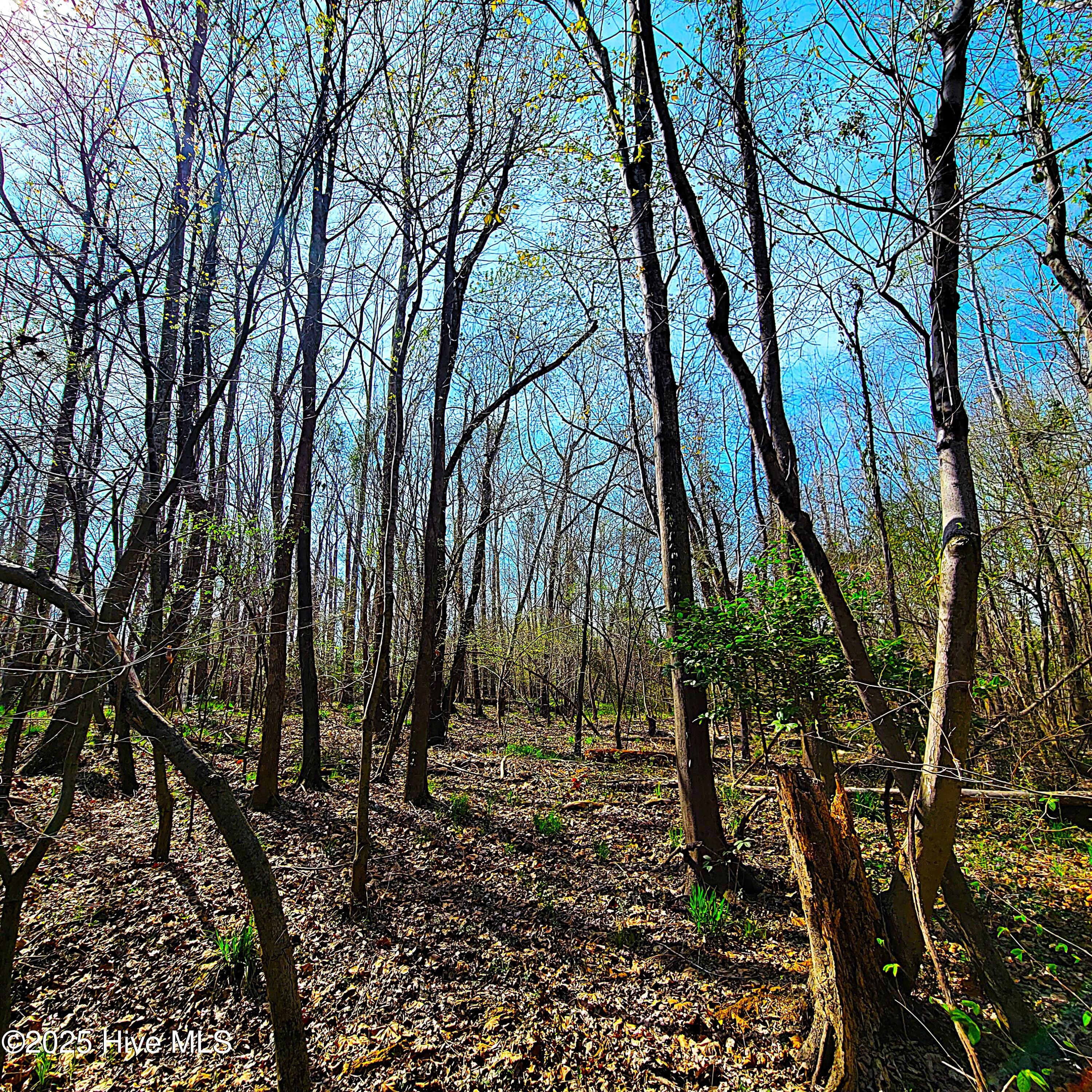 100496184 | Photo 16