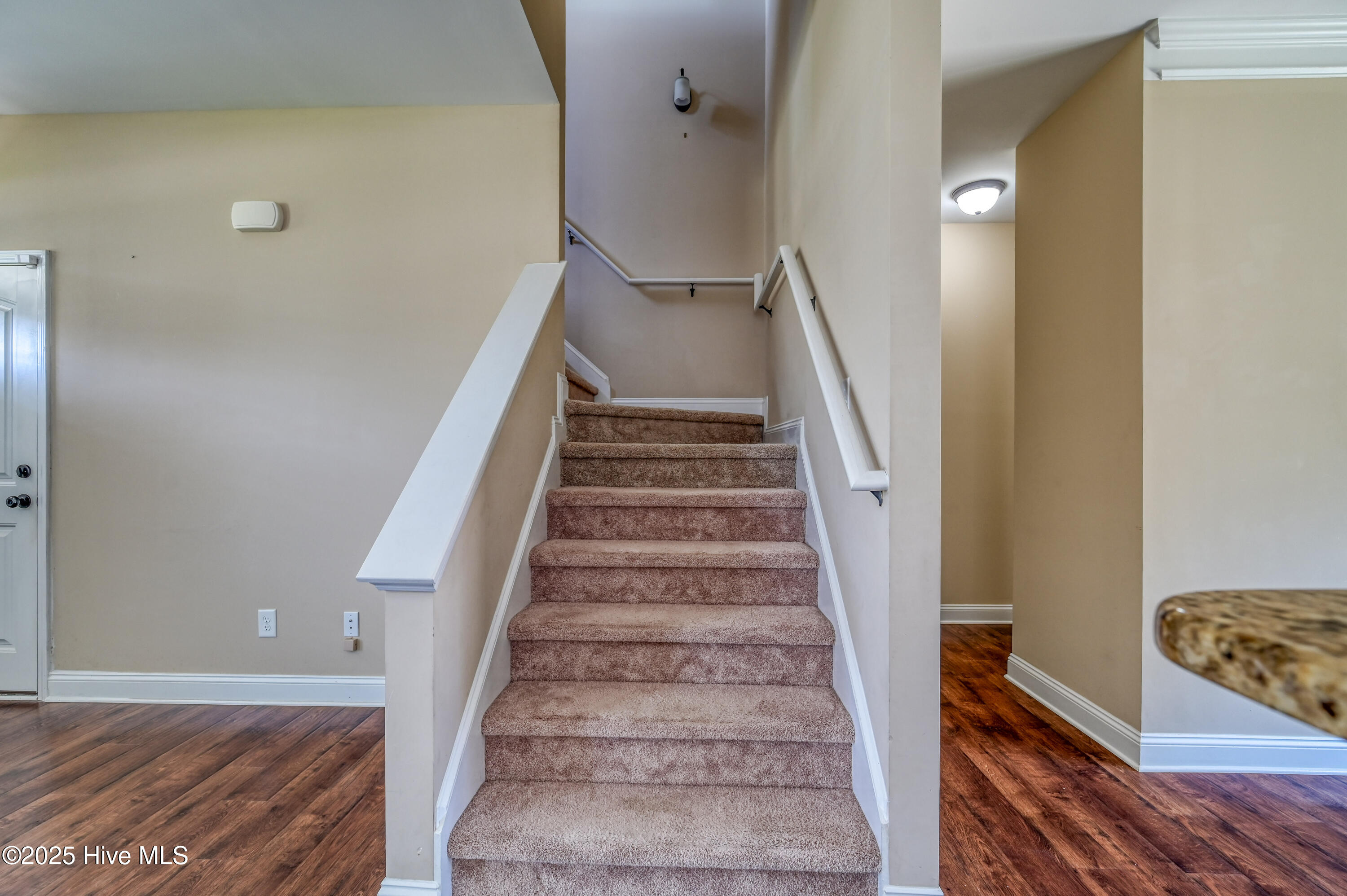 100531923 | Photo 16