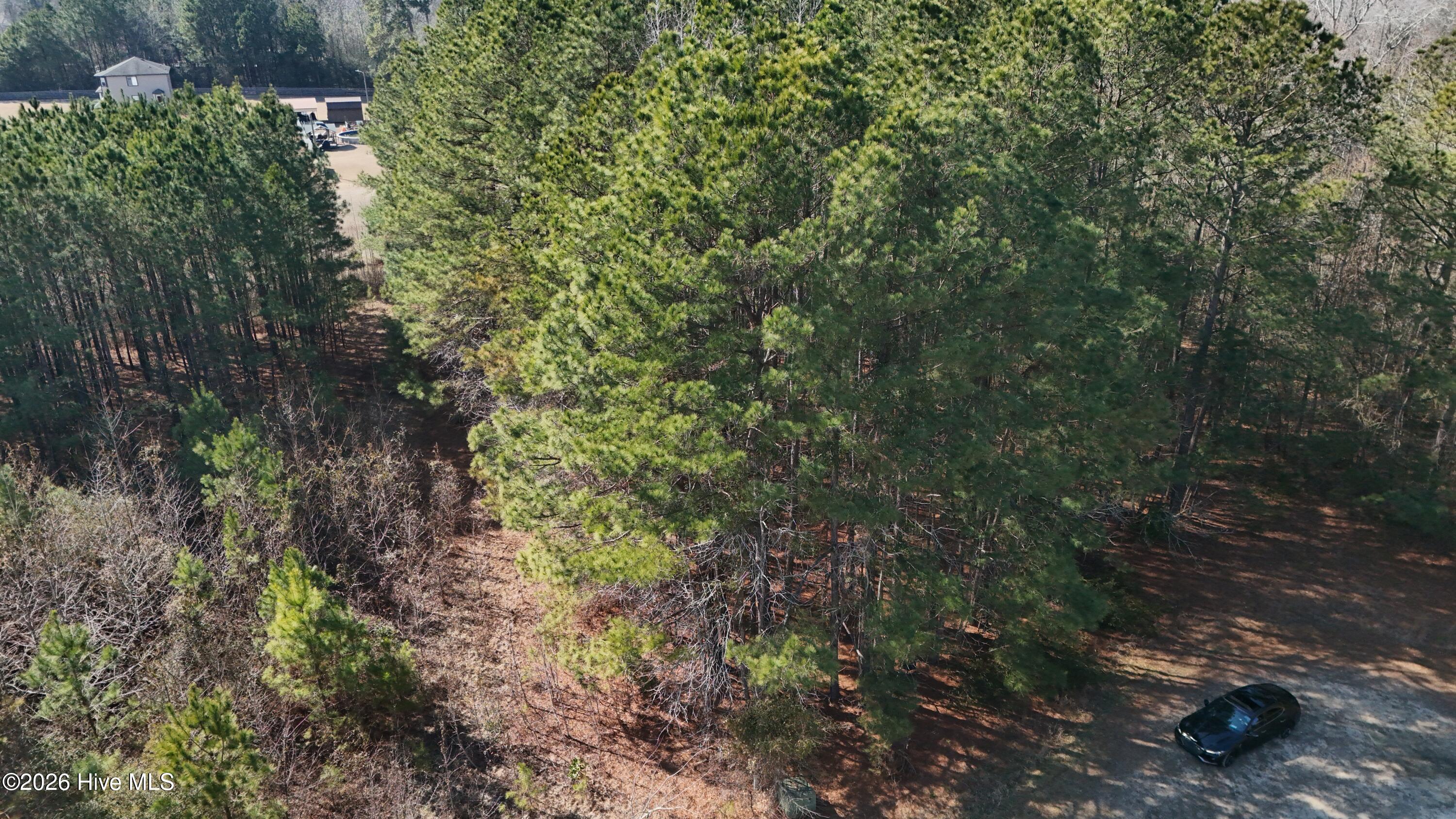 100554571 | Photo 11