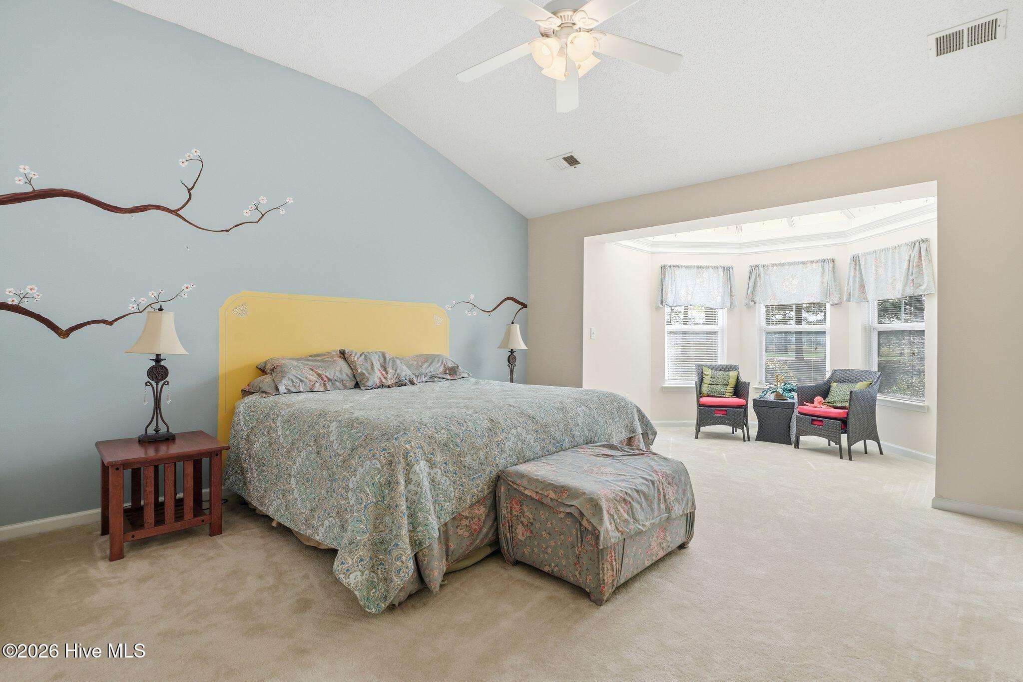 100560639 | Photo 22