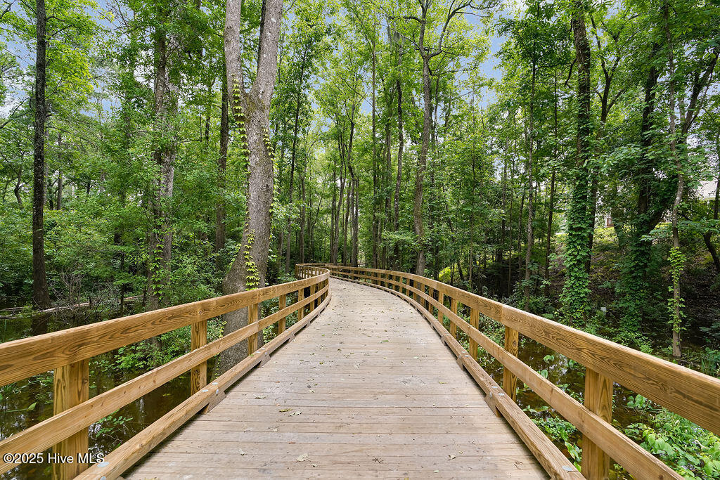 100501196 | Photo 35