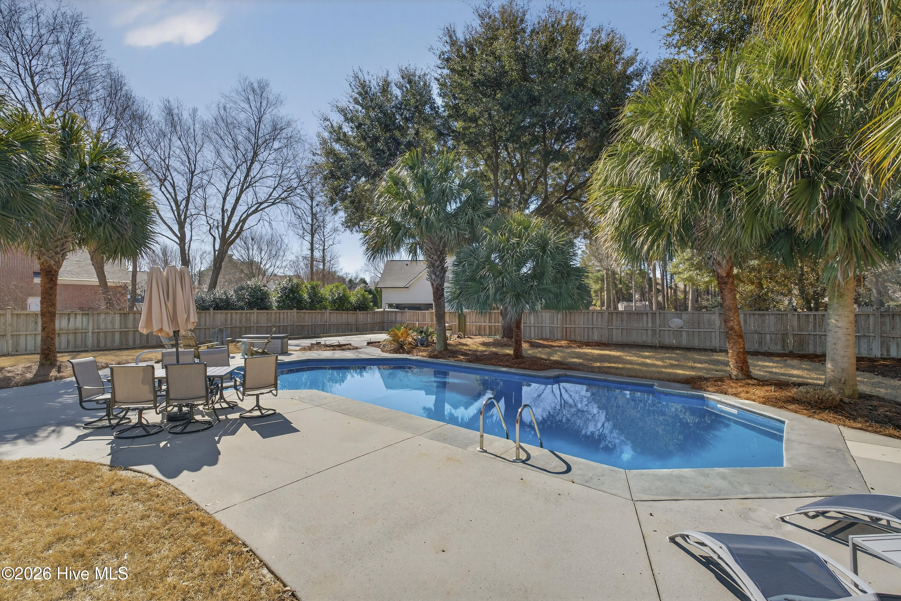 100557887 | Photo 64