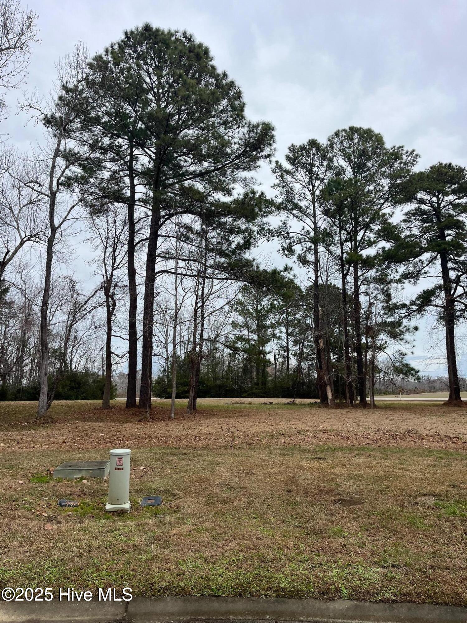 62 114 Currituck Court,Oriental