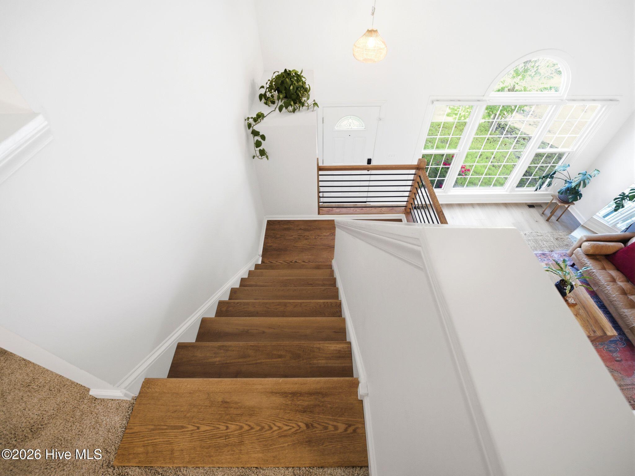 100568966 | Photo 50