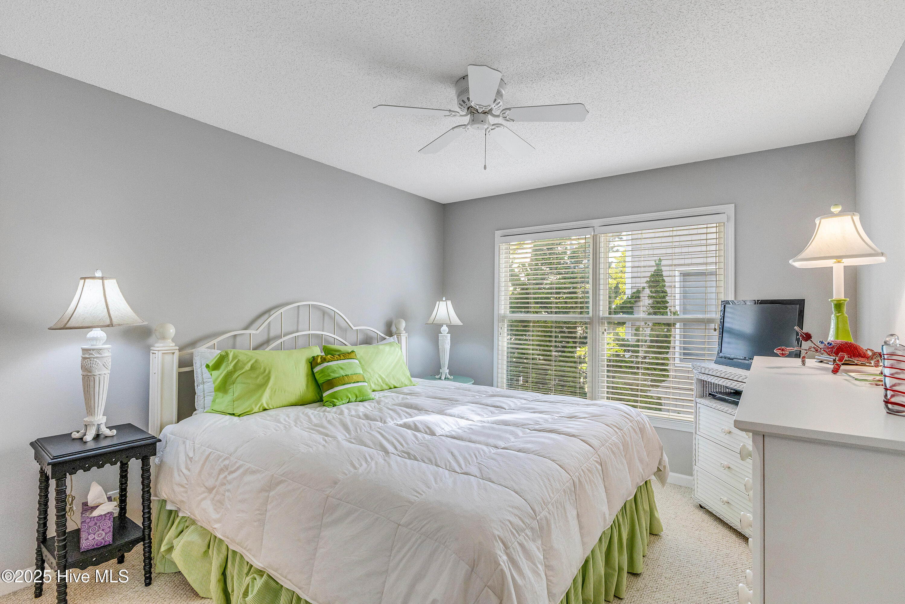 100522444 | Photo 24