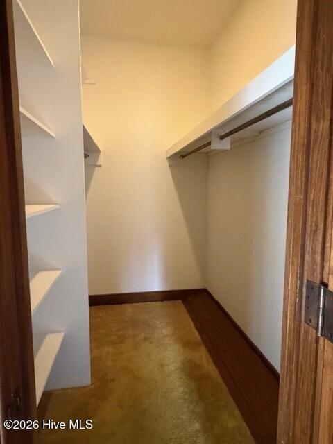 100551549 | Photo 33