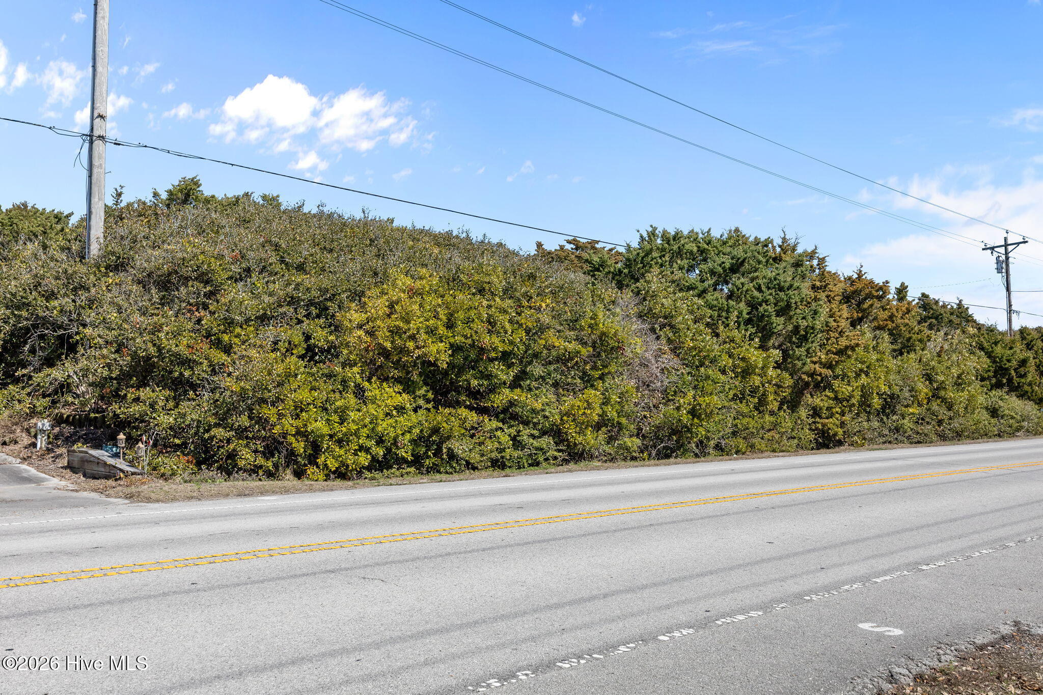 100533525 | Photo 29