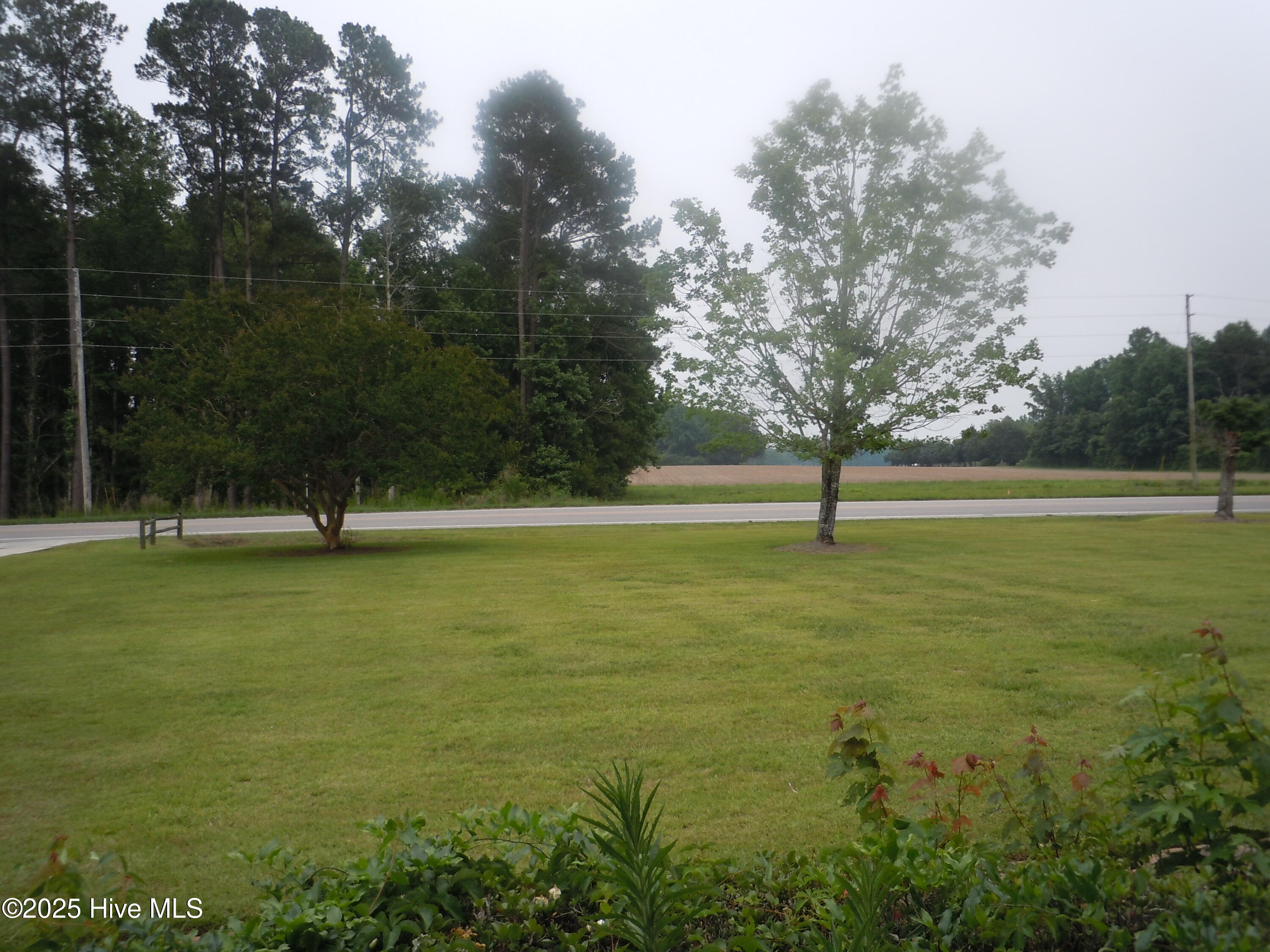 100533053 | Photo 77