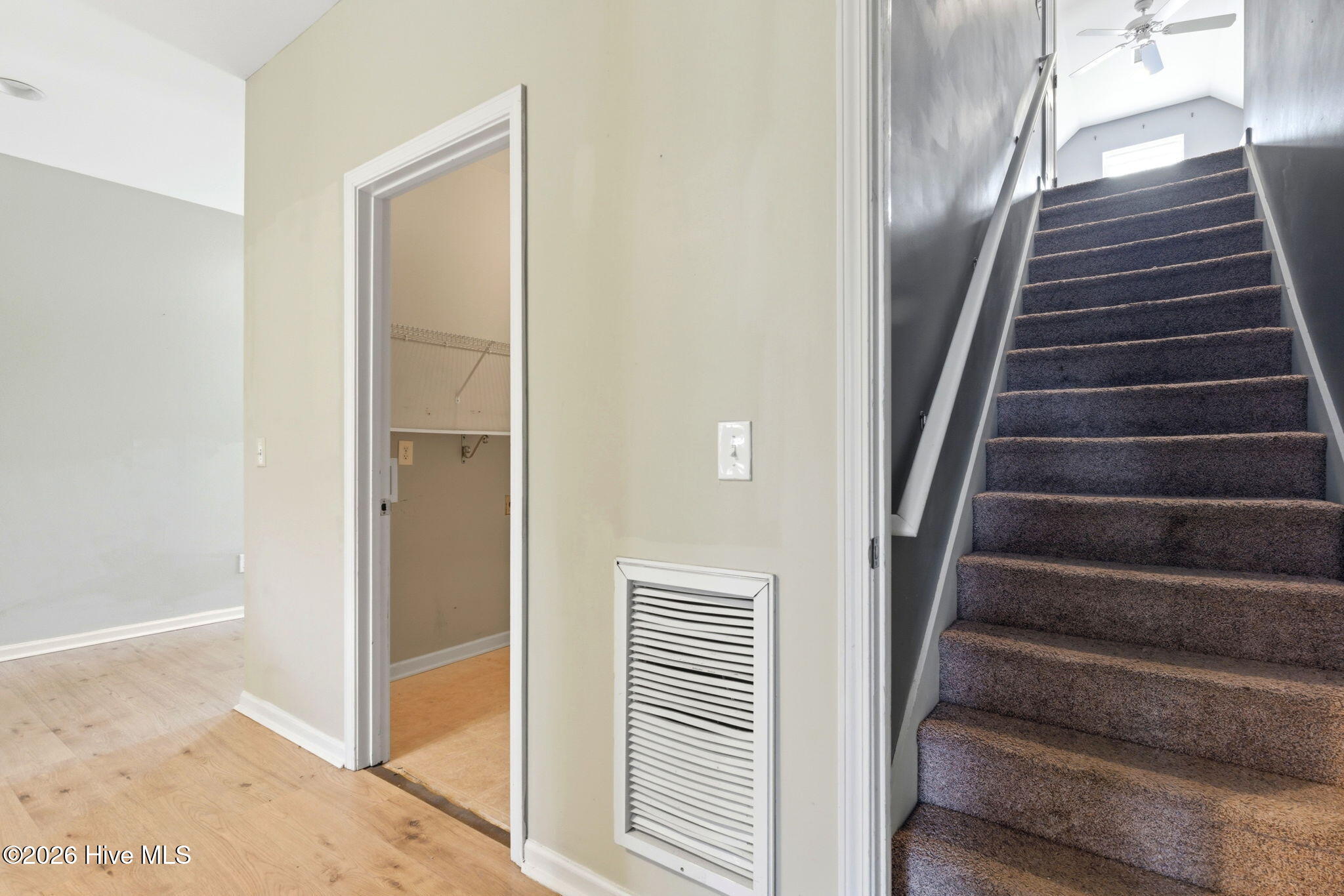 100556646 | Photo 26