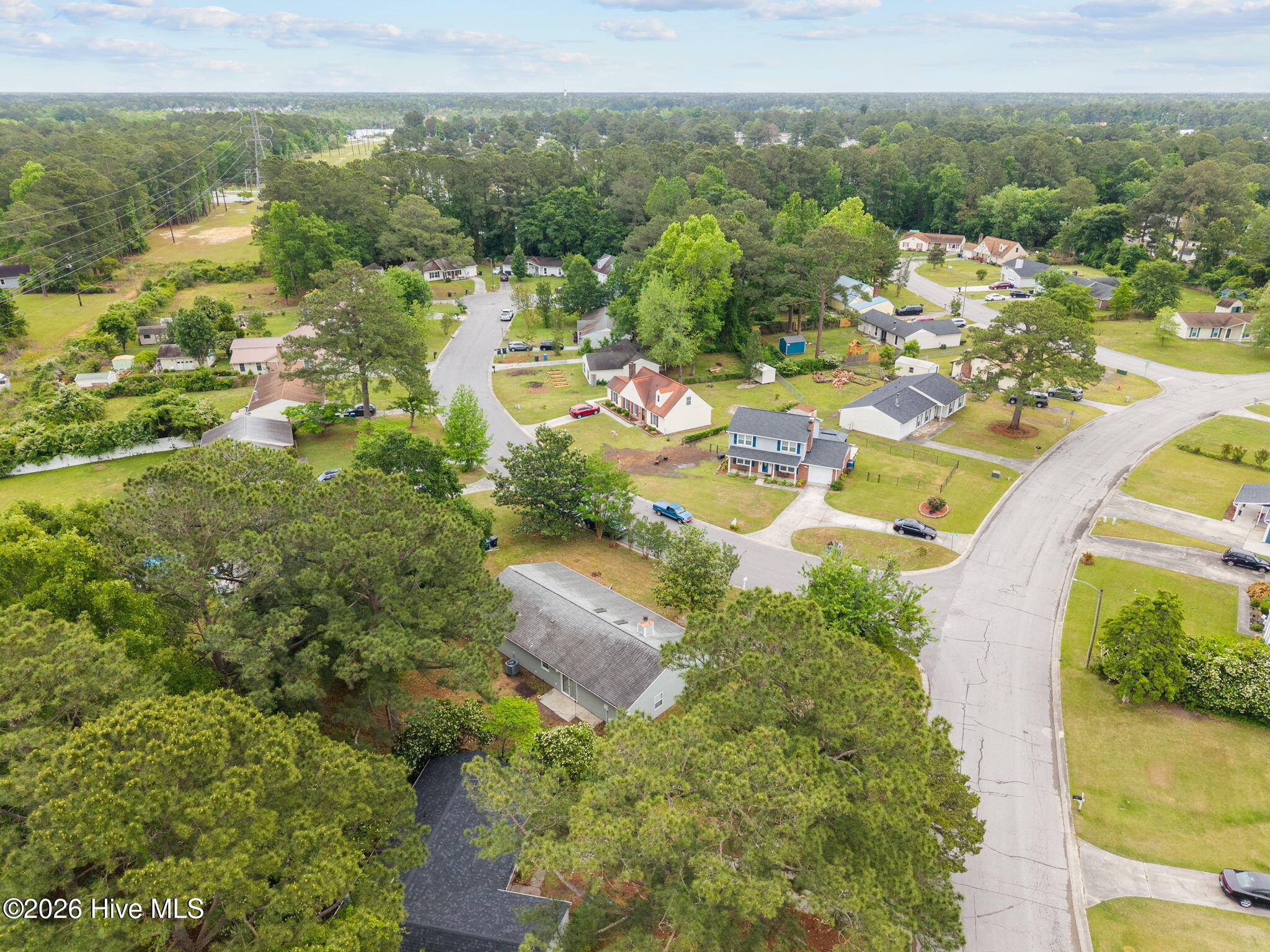 100570195 | Photo 39