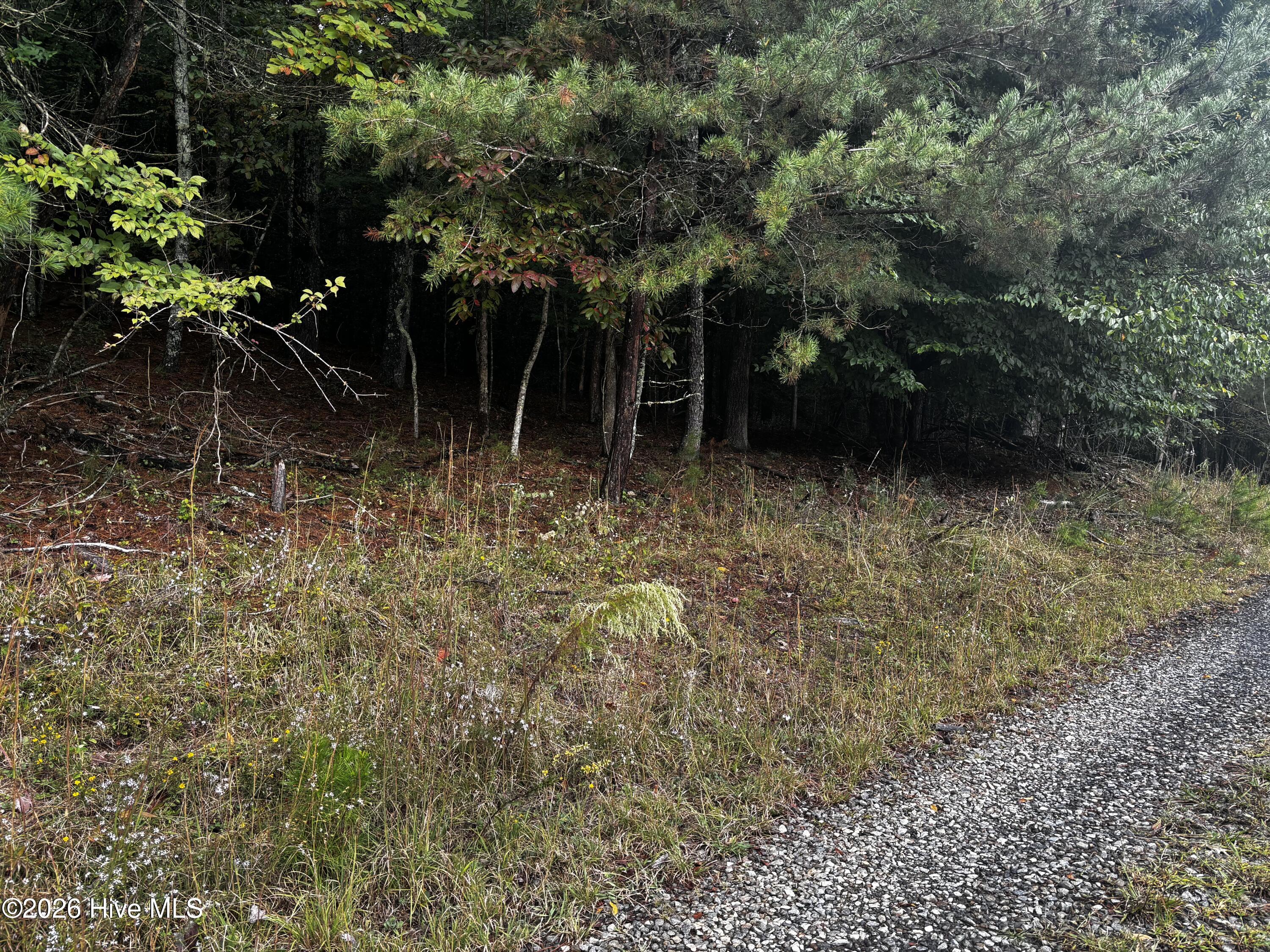100608914 | Photo 2