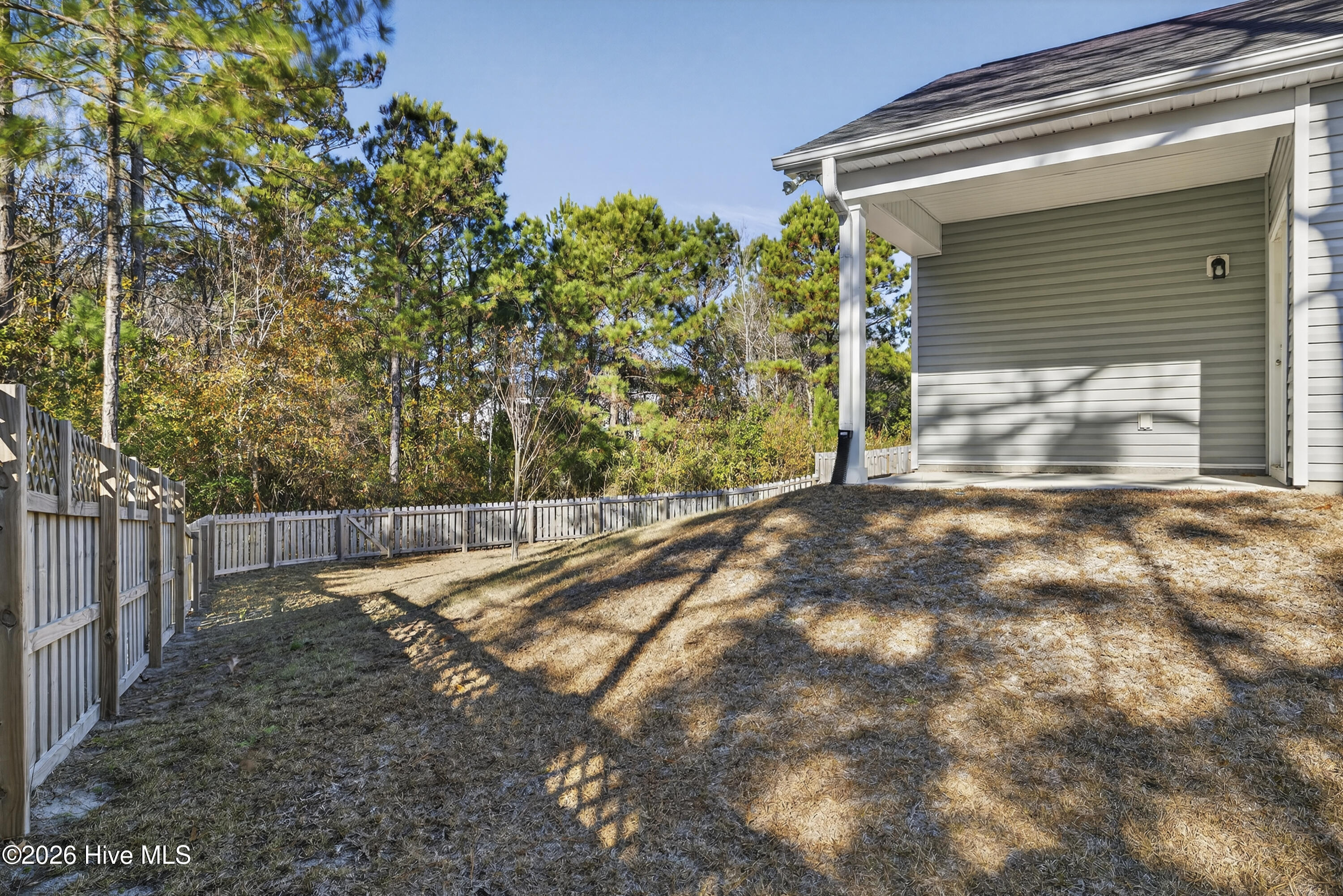 100548256 | Photo 50