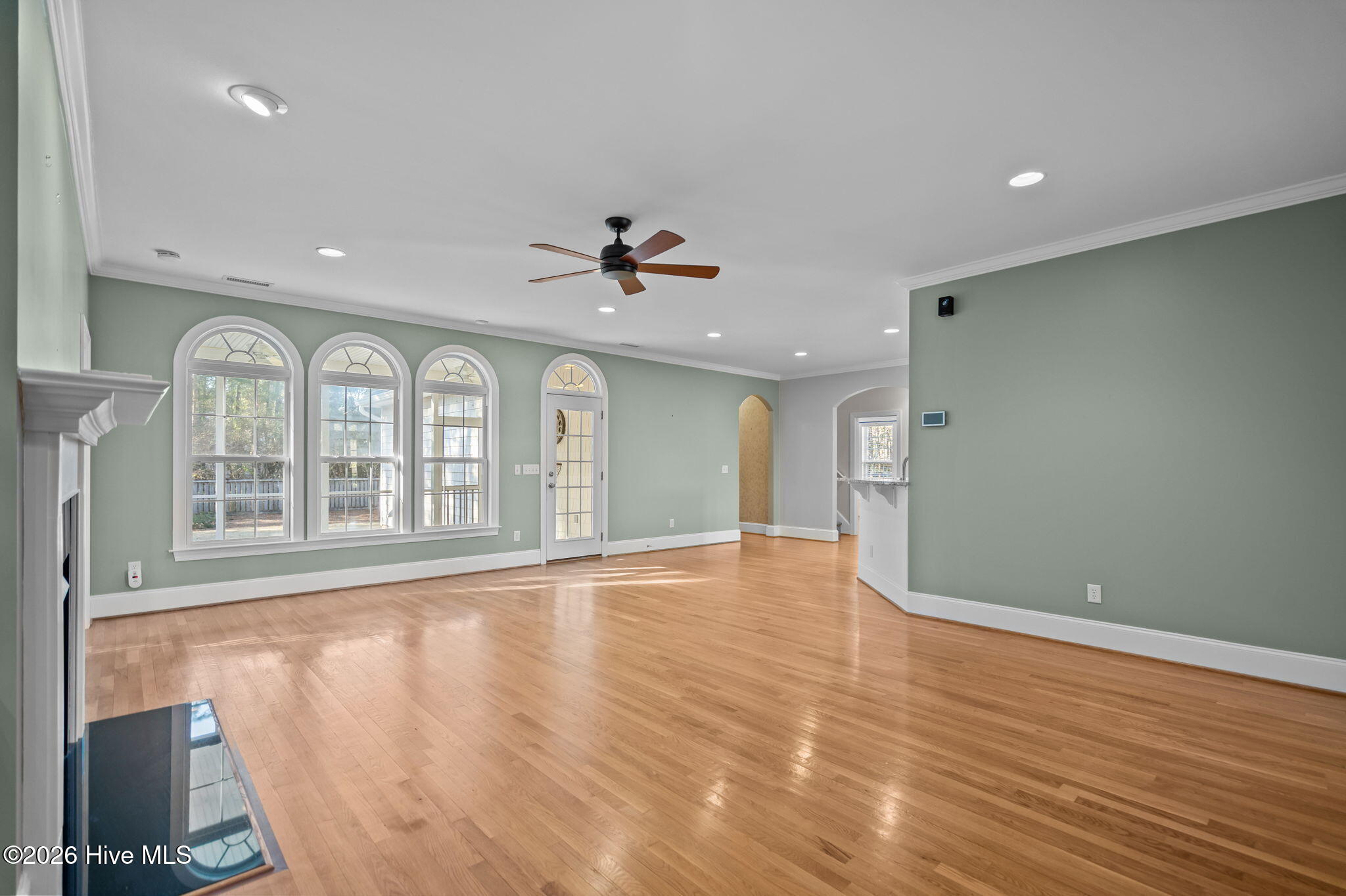 100552731 | Photo 13